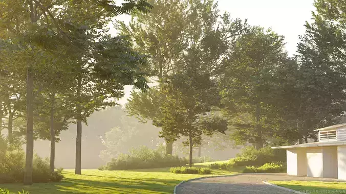 Maxtree Plant Models Vol 30 Low Poly - Mesh