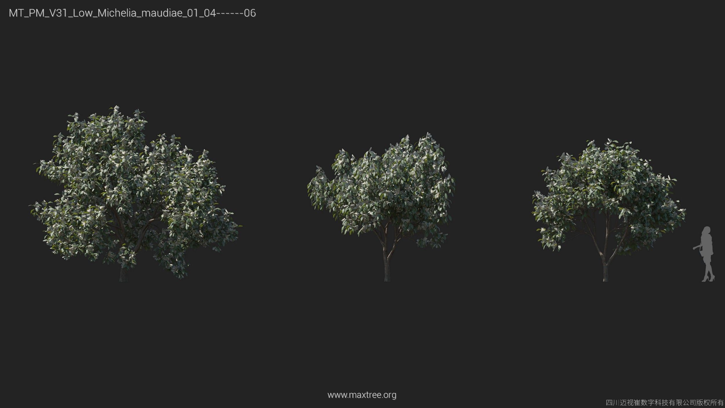 Maxtree Plant Models Vol 31 Low Poly - Mesh 3D model_16