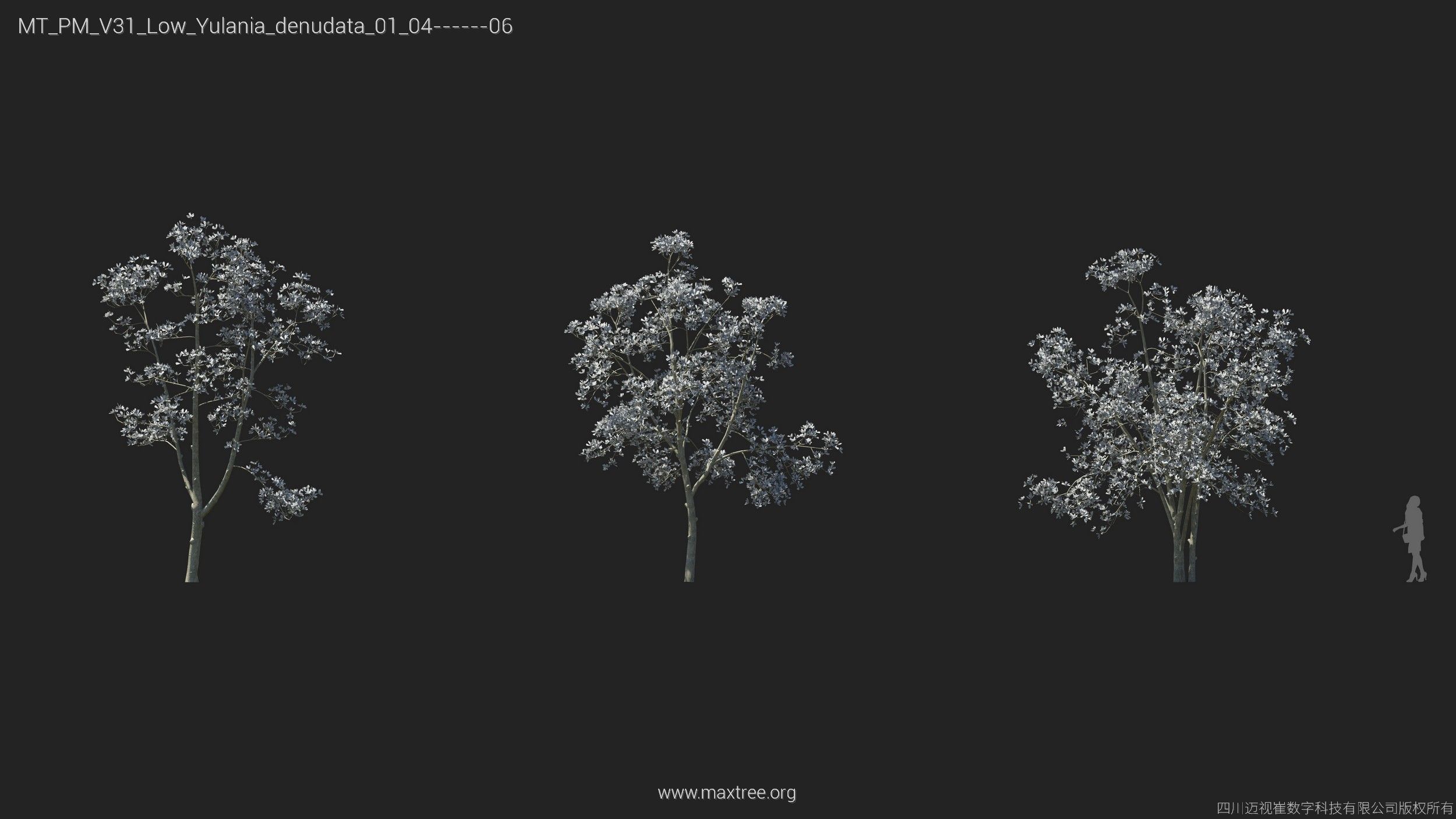 Maxtree Plant Models Vol 31 Low Poly - Mesh 3D model_26