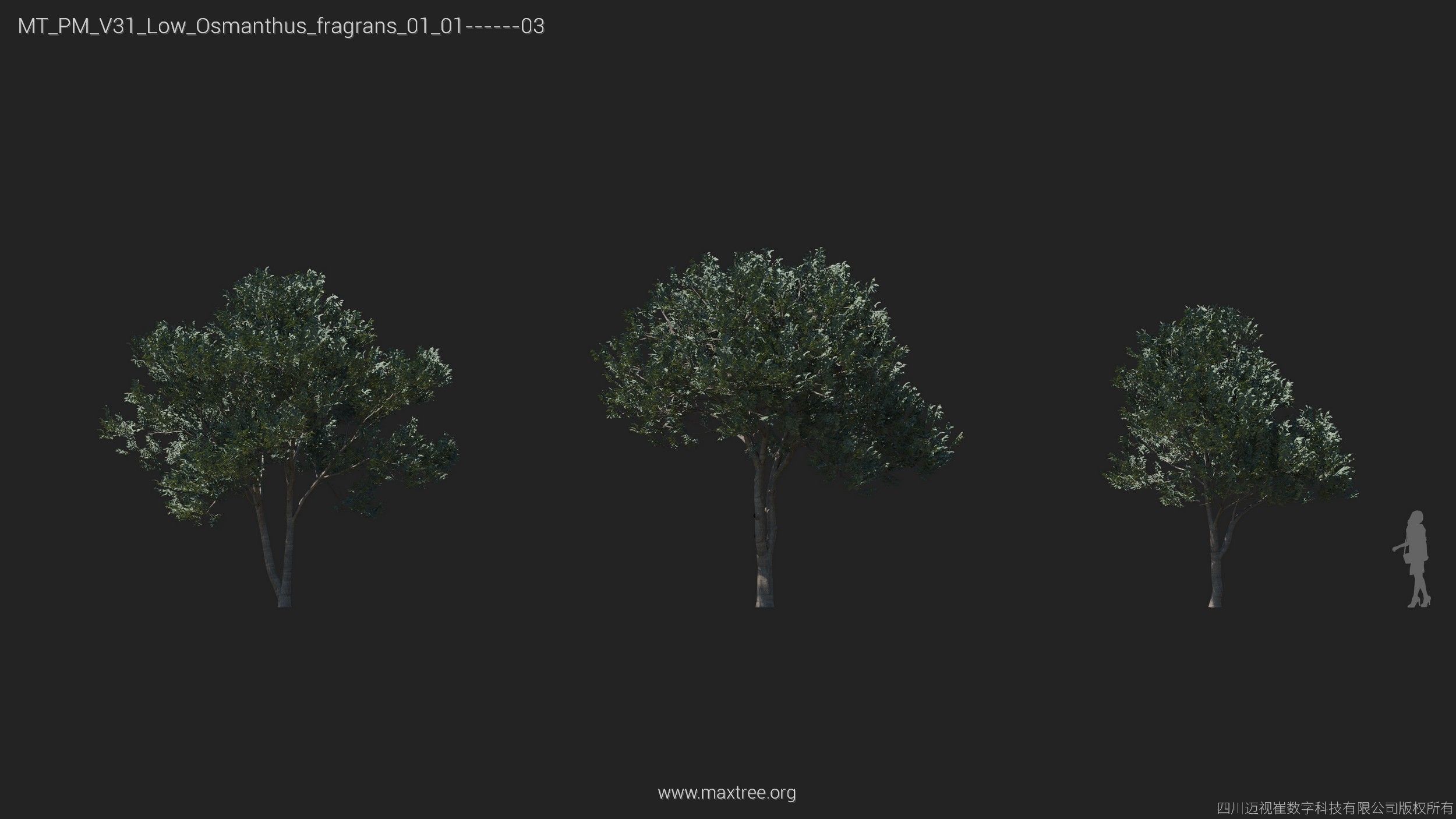 Maxtree Plant Models Vol 31 Low Poly - Mesh 3D model_17