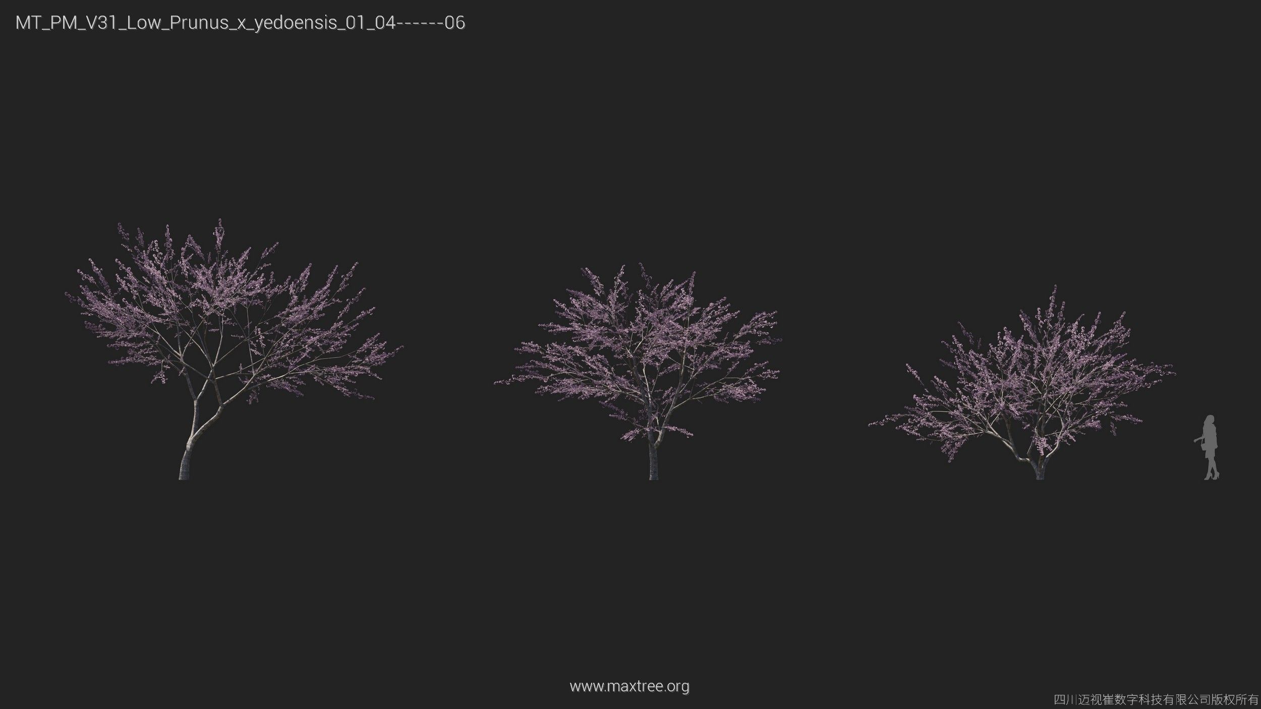 Maxtree Plant Models Vol 31 Low Poly - Mesh 3D model_22