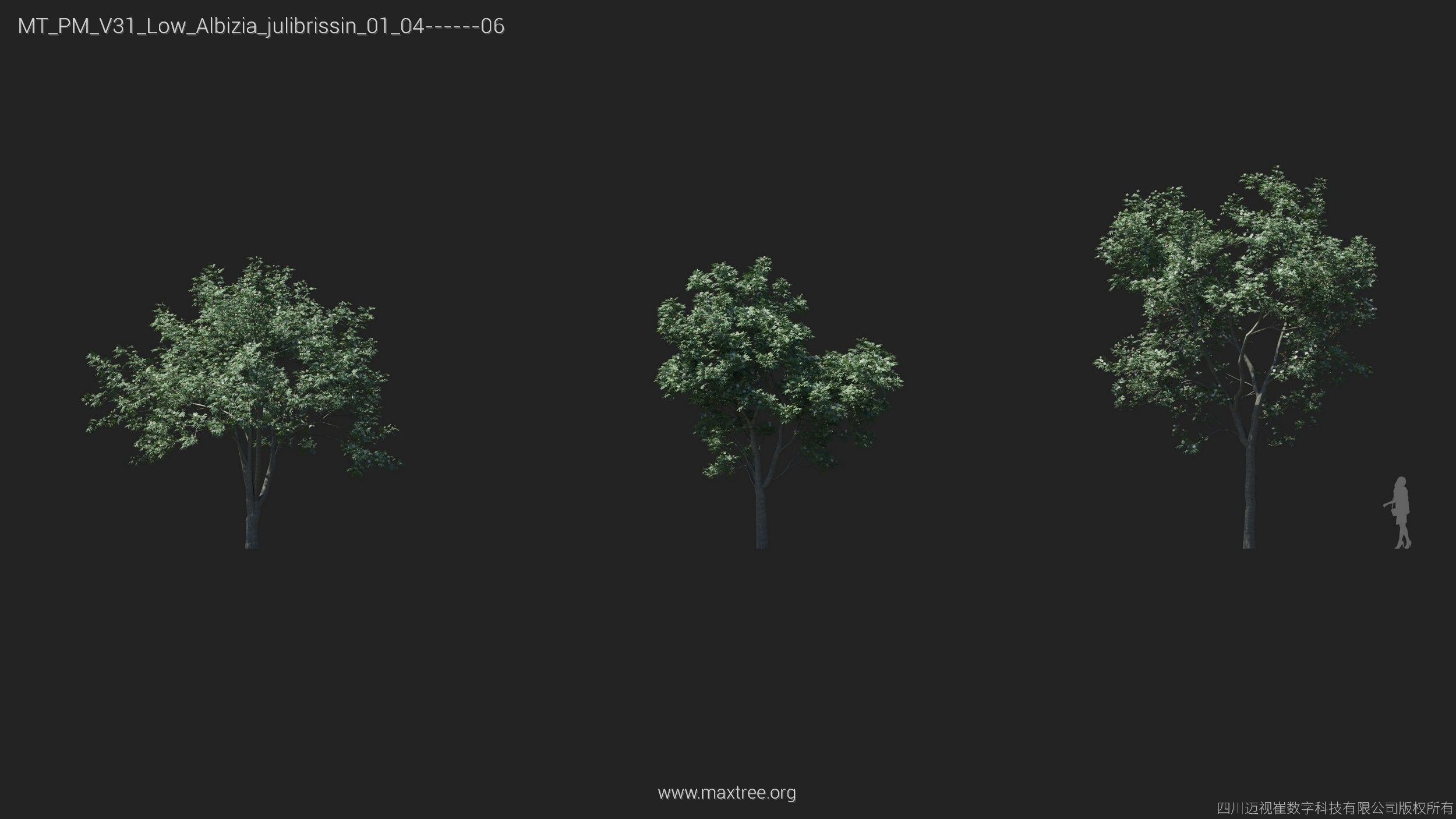 Maxtree Plant Models Vol 31 Low Poly - Mesh 3D model_4