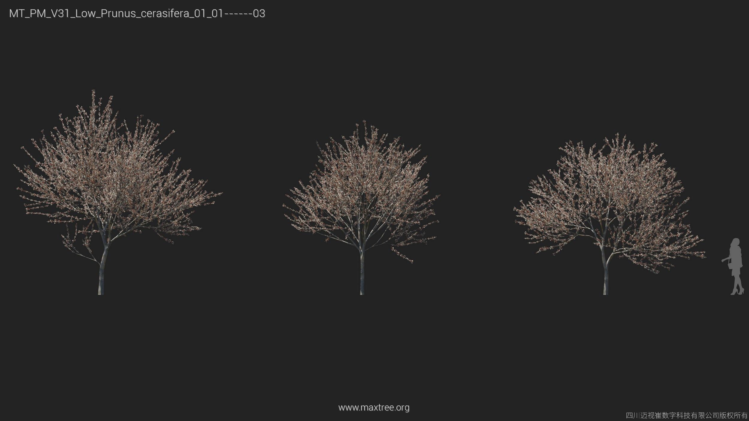 Maxtree Plant Models Vol 31 Low Poly - Mesh 3D model_19