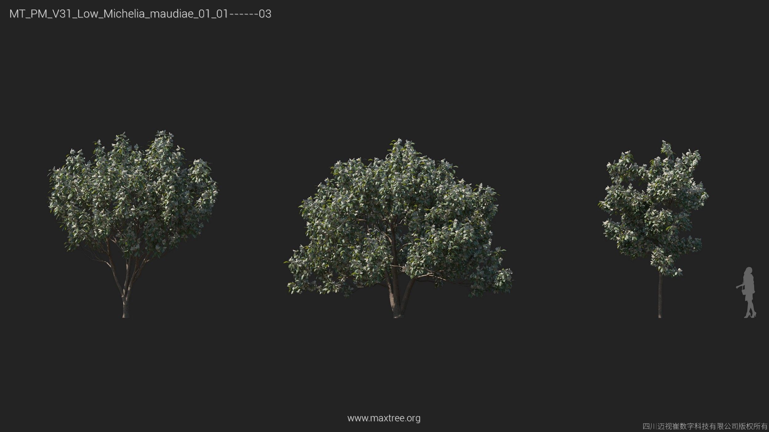 Maxtree Plant Models Vol 31 Low Poly - Mesh 3D model_15