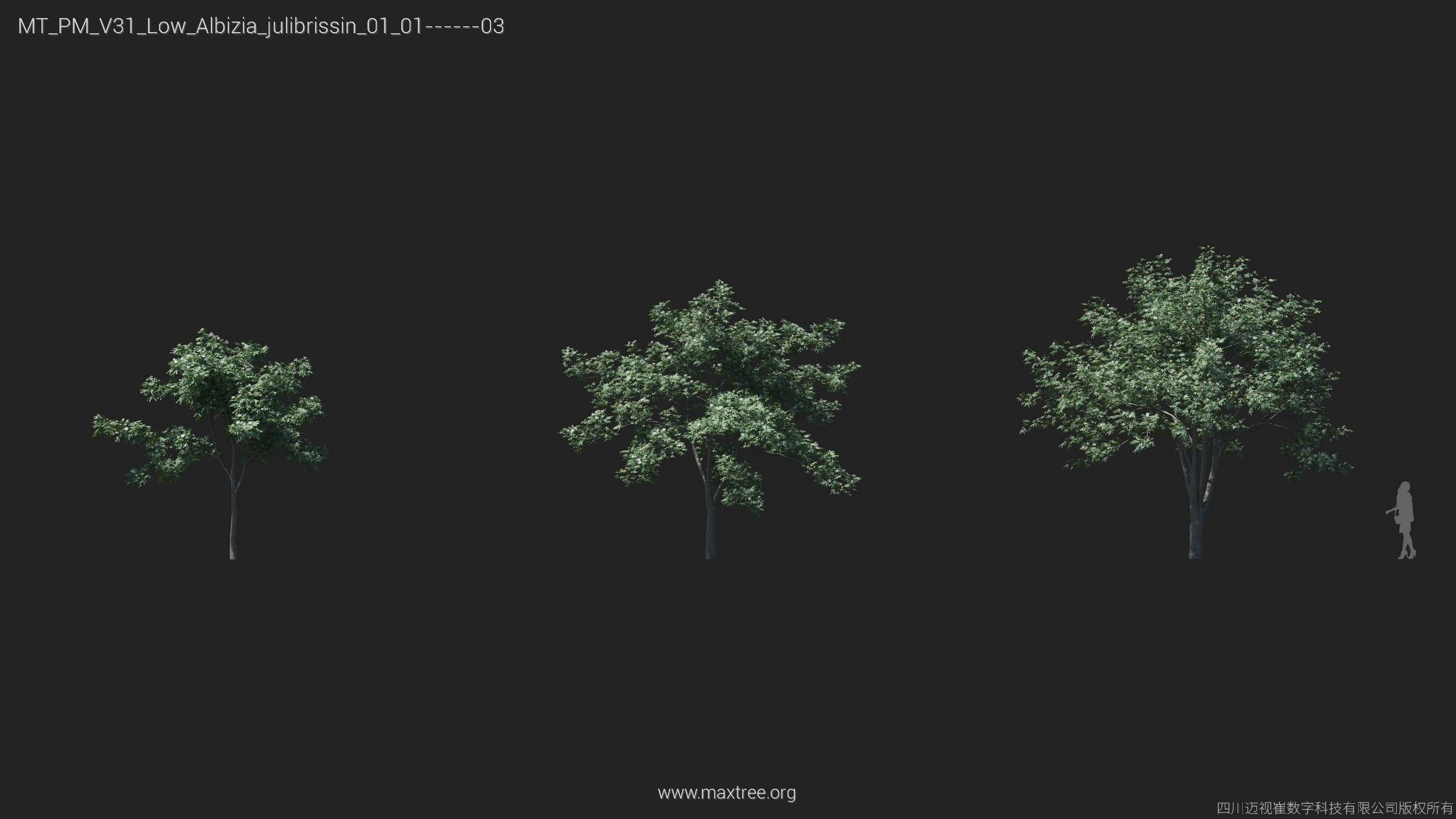 Maxtree Plant Models Vol 31 Low Poly - Mesh 3D model_3