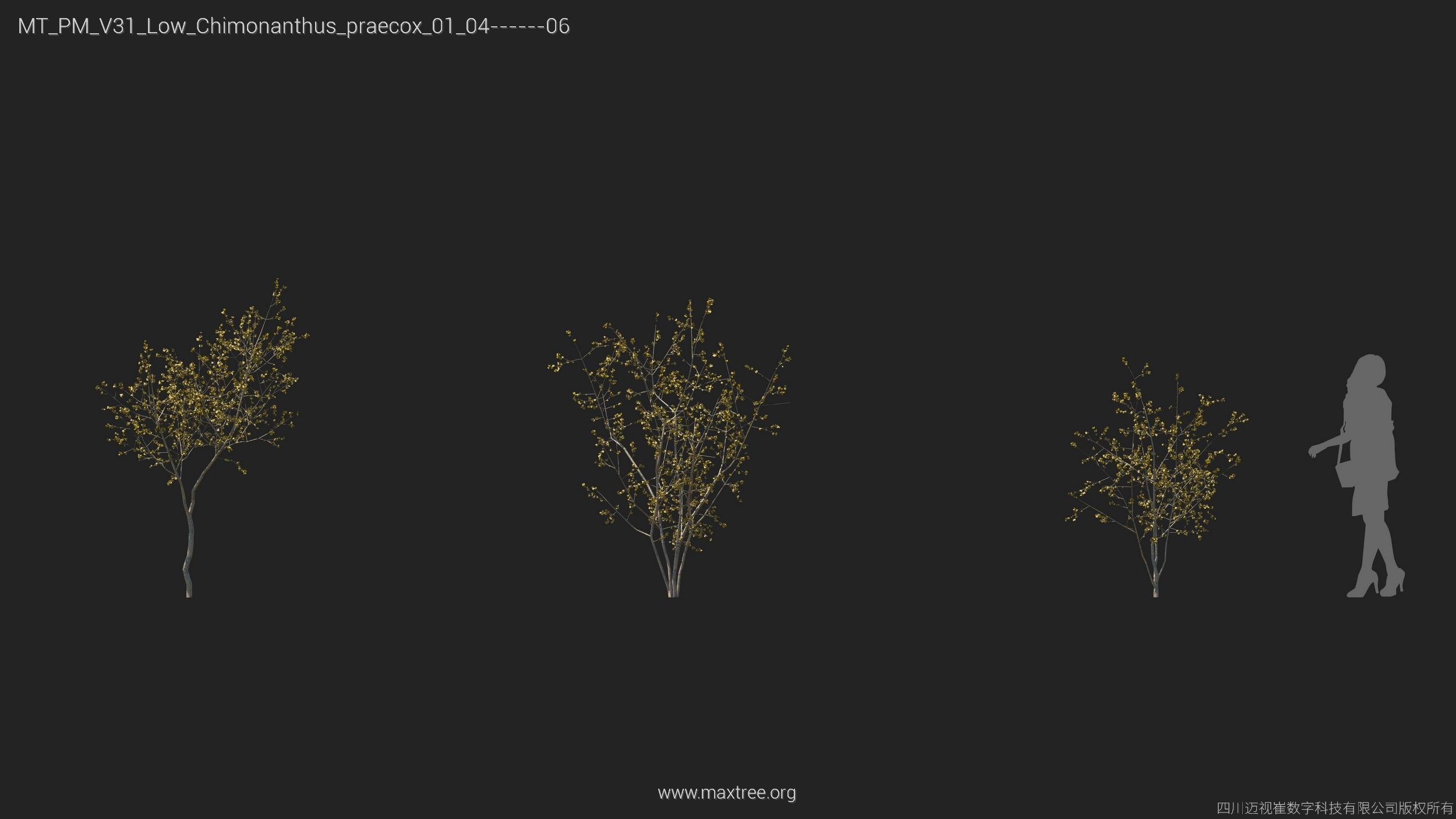 Maxtree Plant Models Vol 31 Low Poly - Mesh 3D model_8