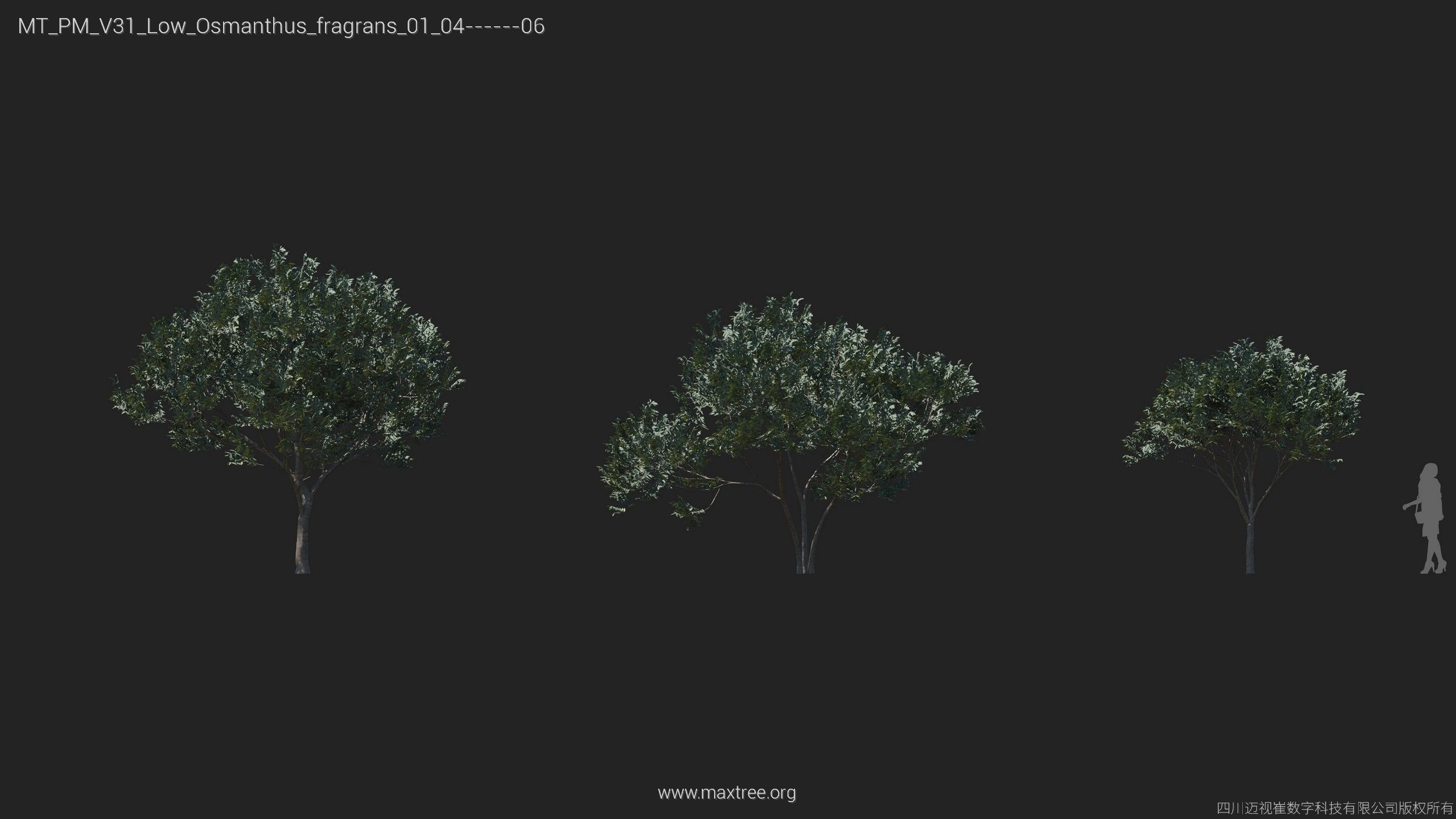 Maxtree Plant Models Vol 31 Low Poly - Mesh 3D model_18