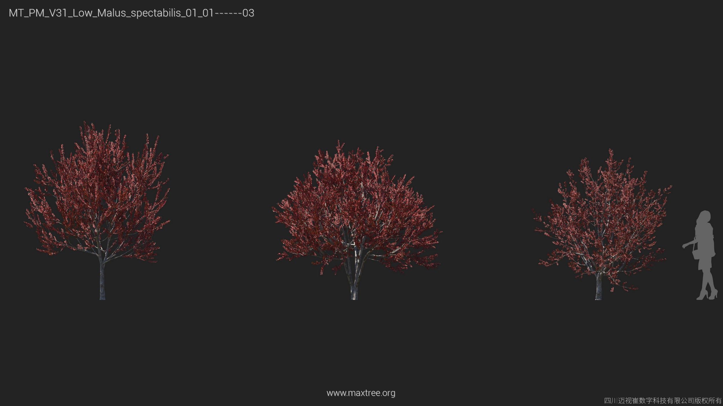Maxtree Plant Models Vol 31 Low Poly - Mesh 3D model_13