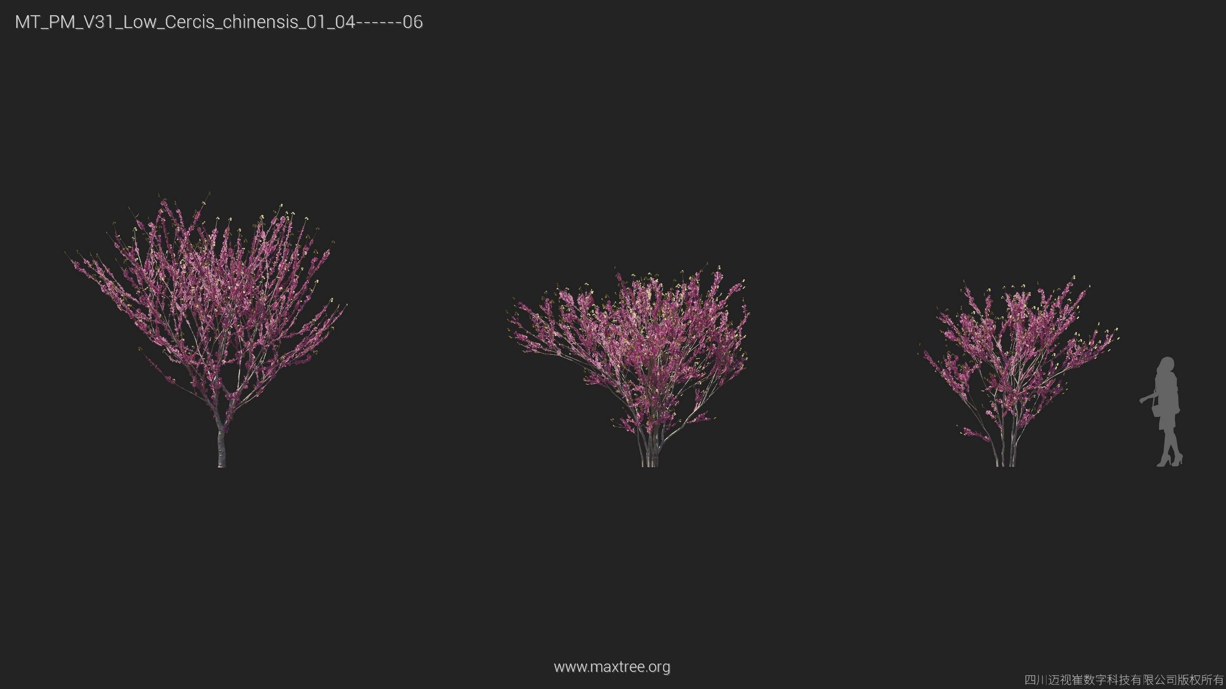 Maxtree Plant Models Vol 31 Low Poly - Mesh 3D model_6
