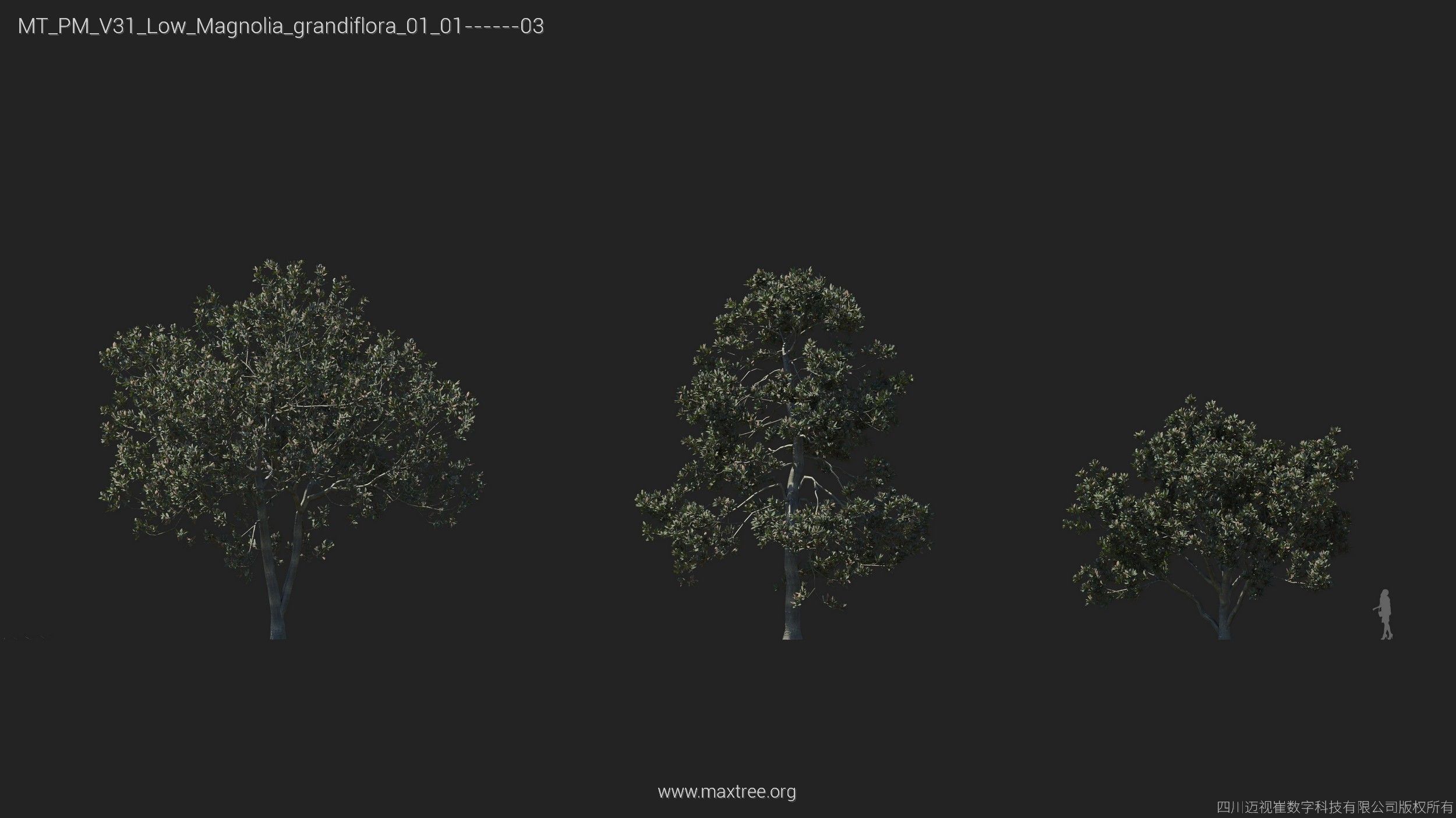 Maxtree Plant Models Vol 31 Low Poly - Mesh 3D model_11