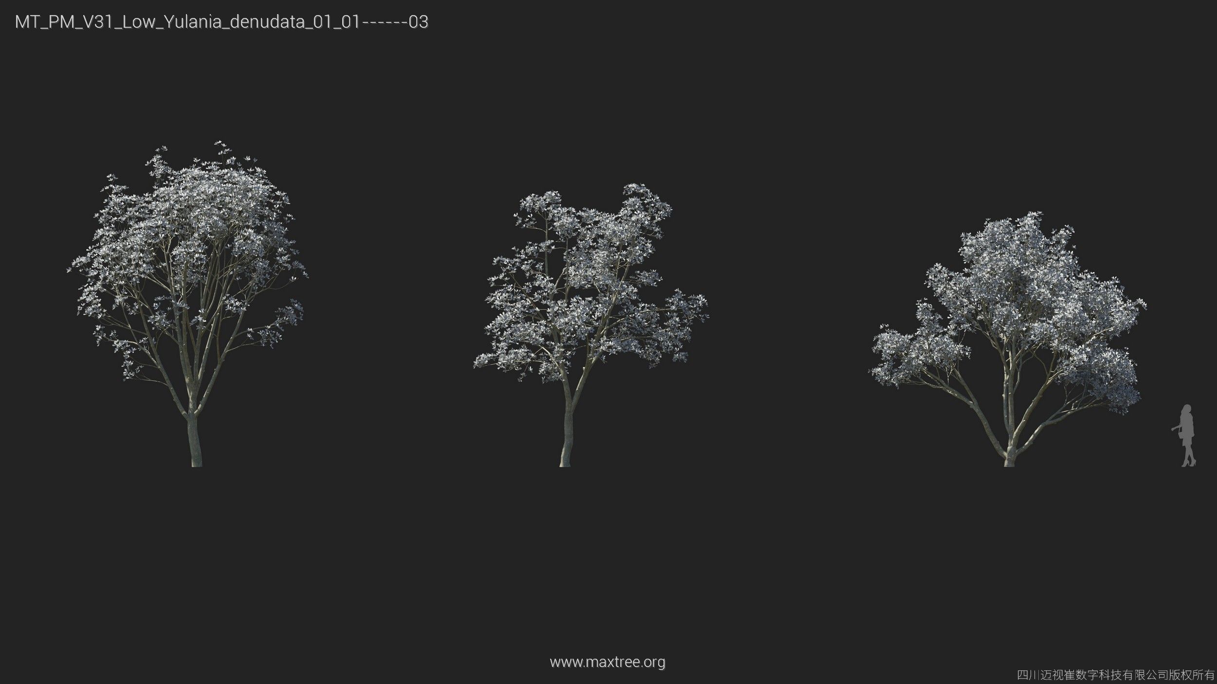 Maxtree Plant Models Vol 31 Low Poly - Mesh 3D model_25