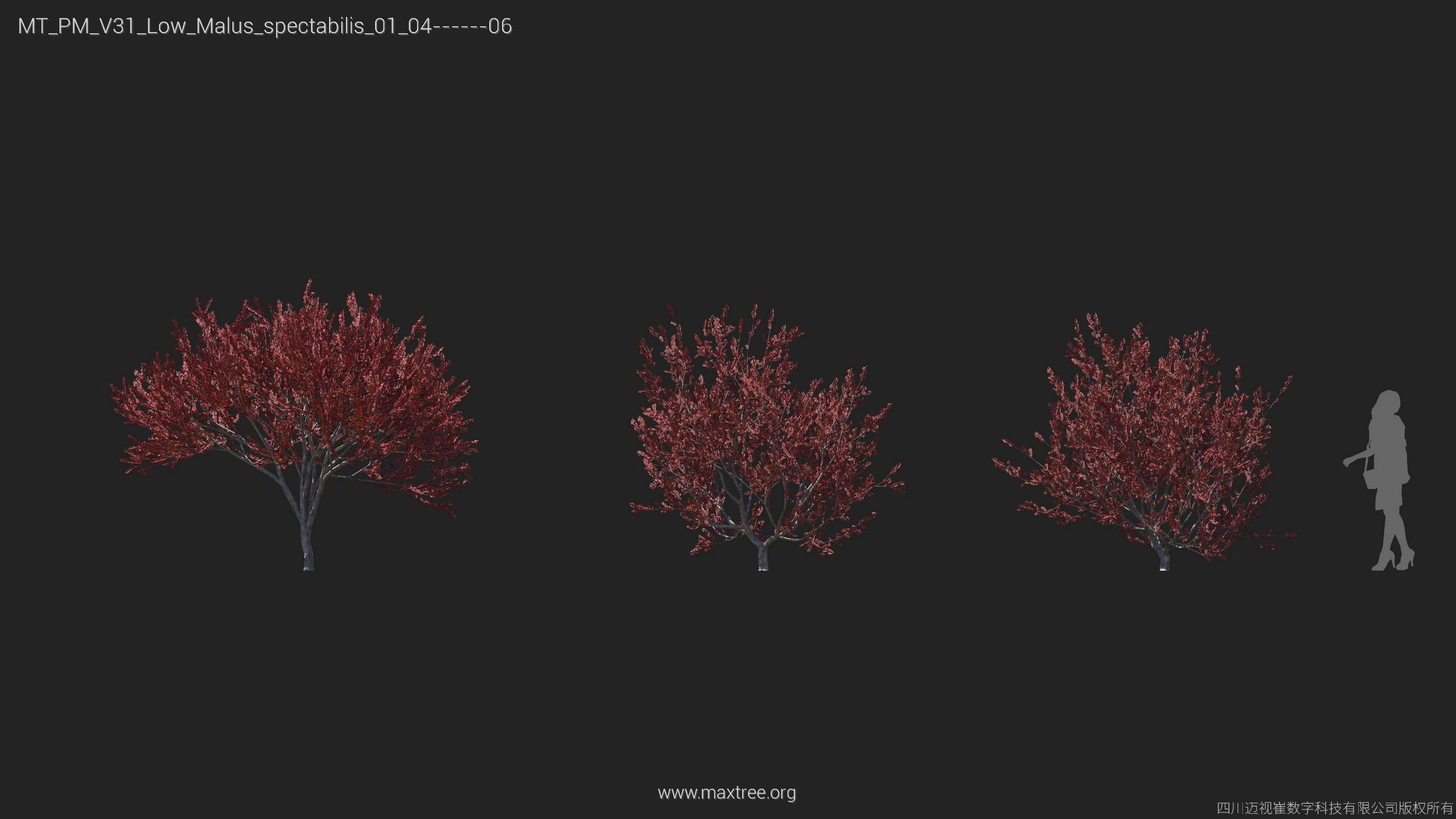 Maxtree Plant Models Vol 31 Low Poly - Mesh 3D model_14