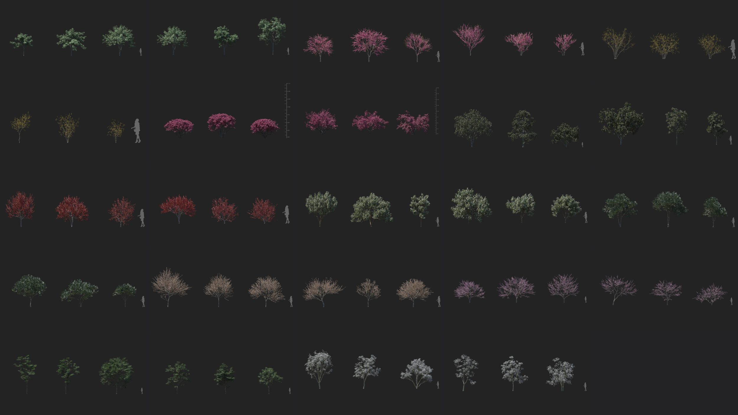 Maxtree Plant Models Vol 31 Low Poly - Mesh 3D model_2