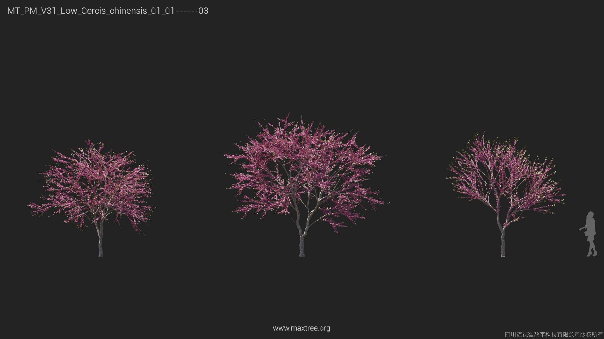 Maxtree Plant Models Vol 31 Low Poly - Mesh 3D model_5