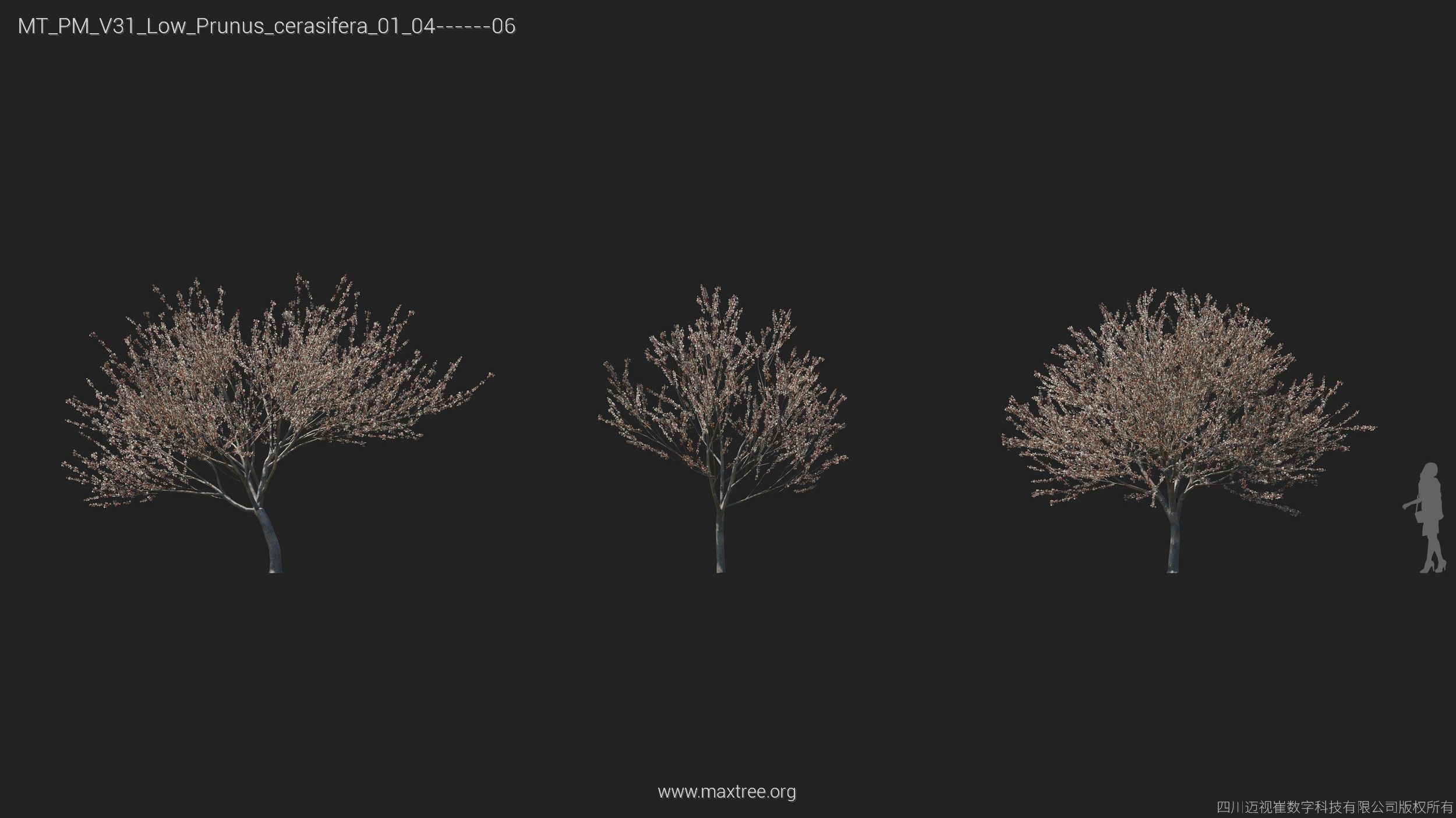 Maxtree Plant Models Vol 31 Low Poly - Mesh 3D model_20