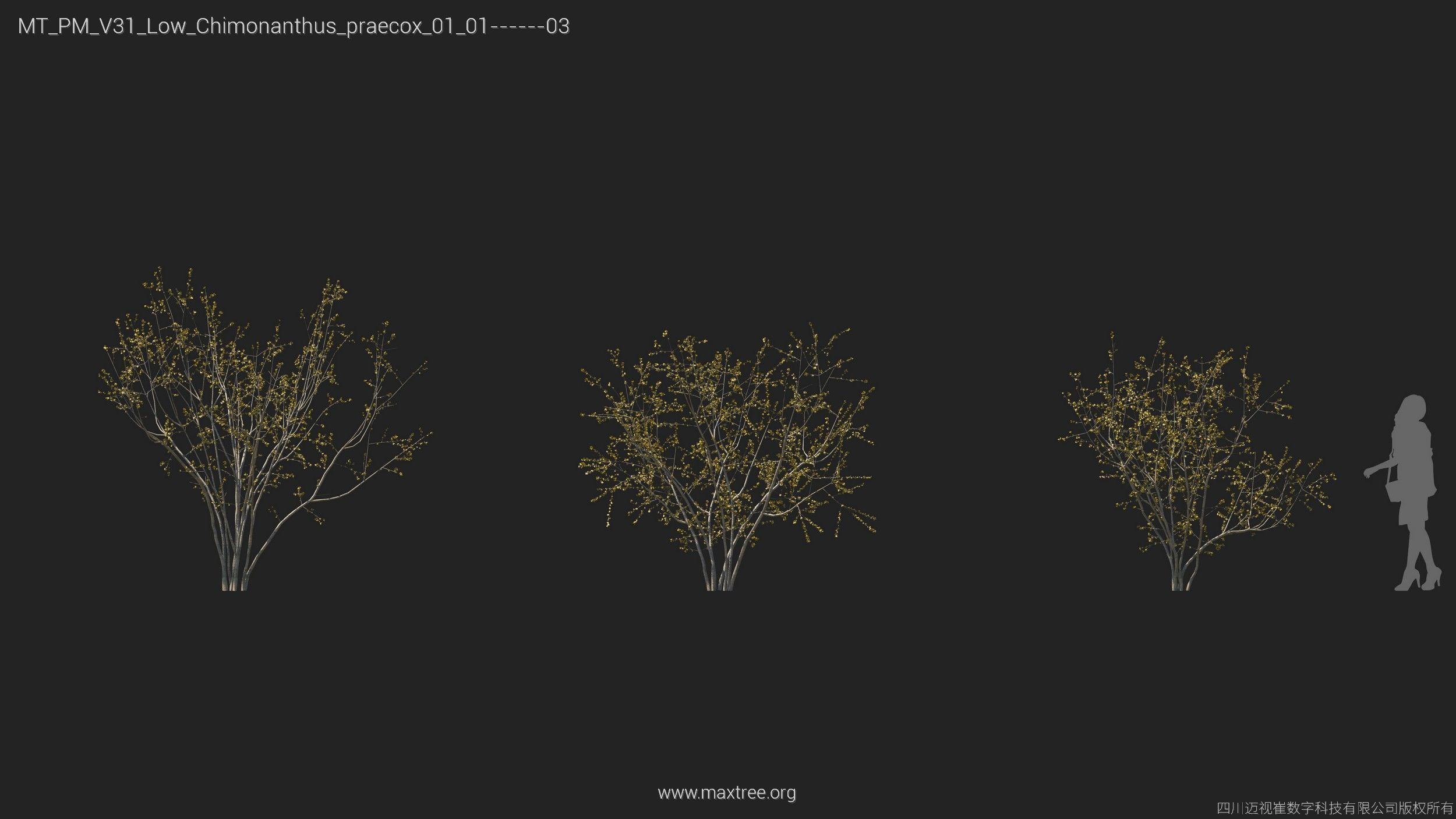 Maxtree Plant Models Vol 31 Low Poly - Mesh 3D model_7