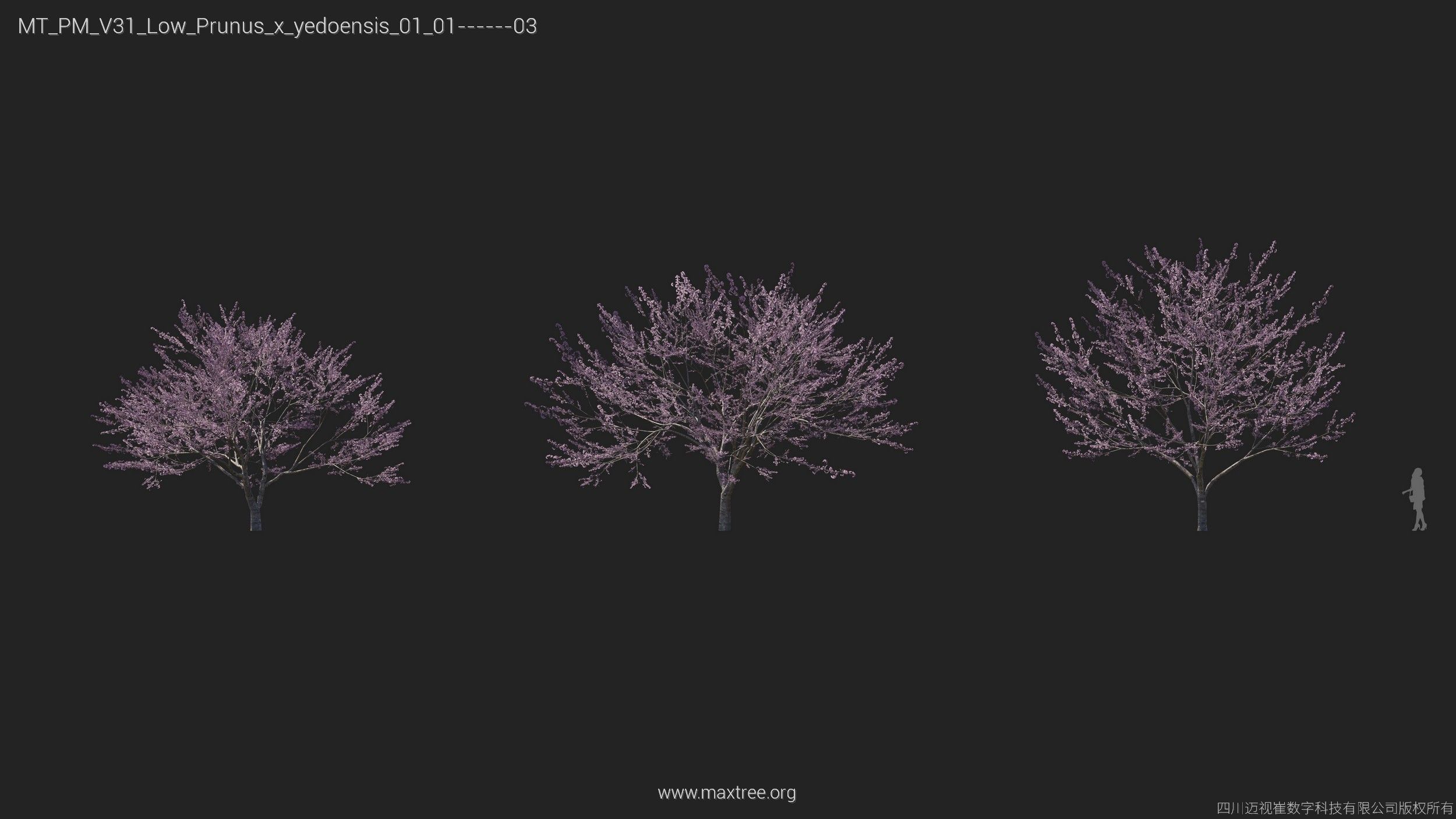 Maxtree Plant Models Vol 31 Low Poly - Mesh 3D model_21