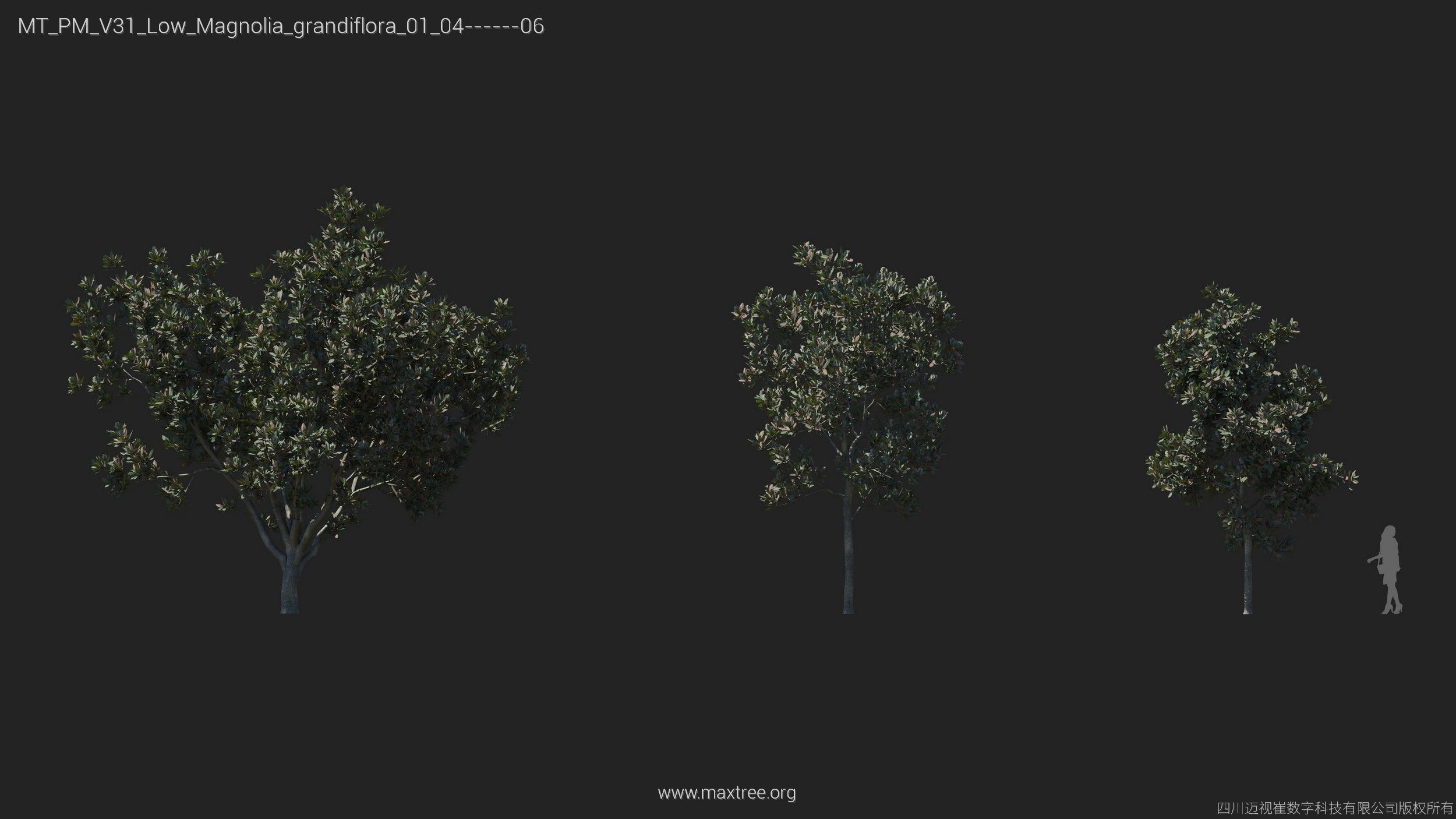 Maxtree Plant Models Vol 31 Low Poly - Mesh 3D model_12