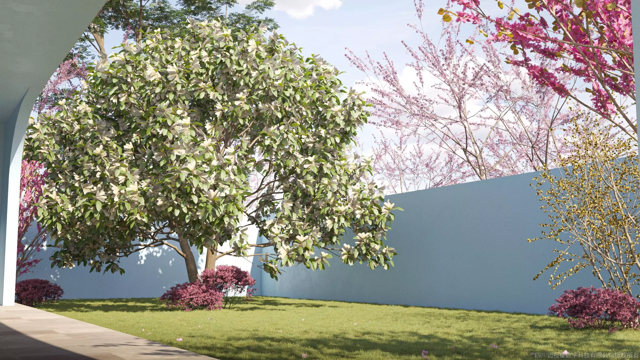 Maxtree Plant Models Vol 31 Low Poly - Mesh 3D model_0