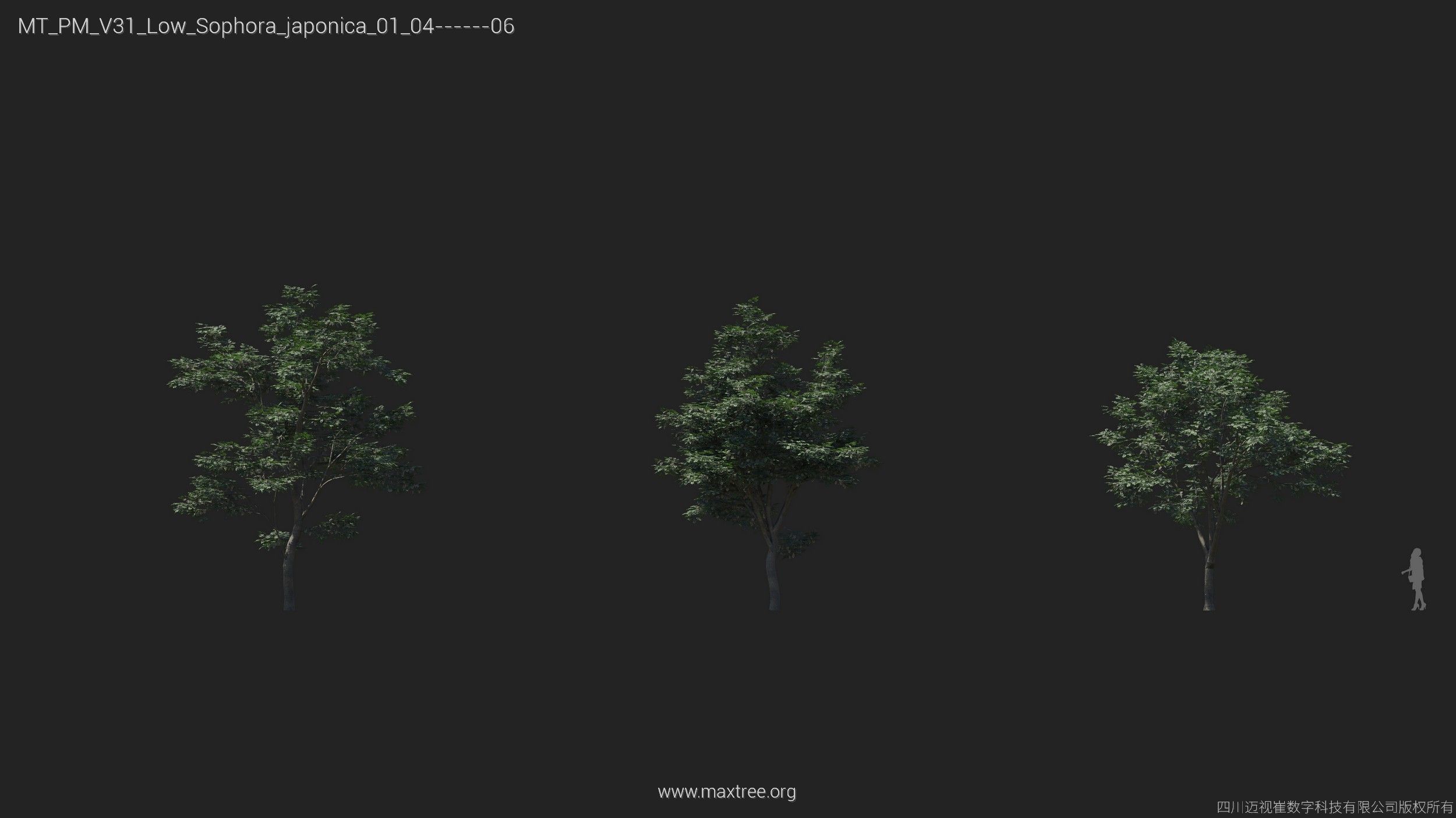 Maxtree Plant Models Vol 31 Low Poly - Mesh 3D model_24