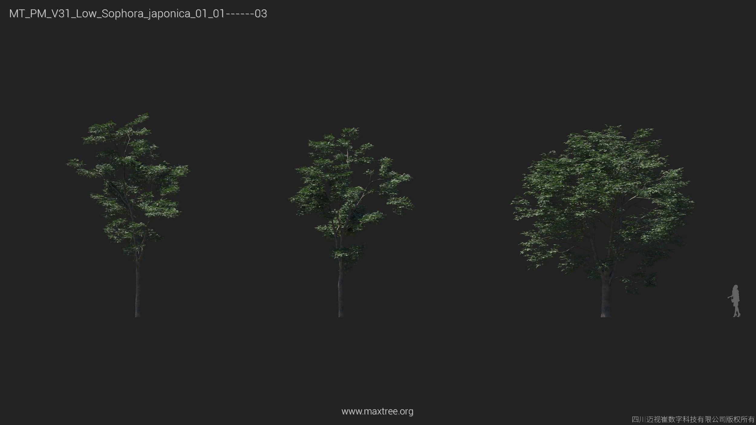 Maxtree Plant Models Vol 31 Low Poly - Mesh 3D model_23