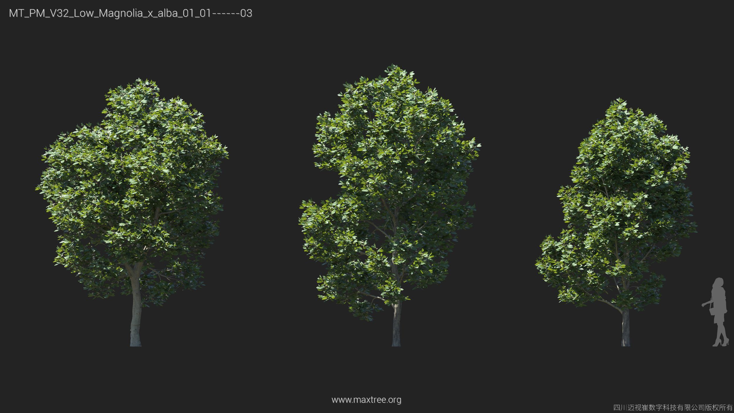 Maxtree Plant Models Vol 32 Low Poly - Mesh 3D model_17