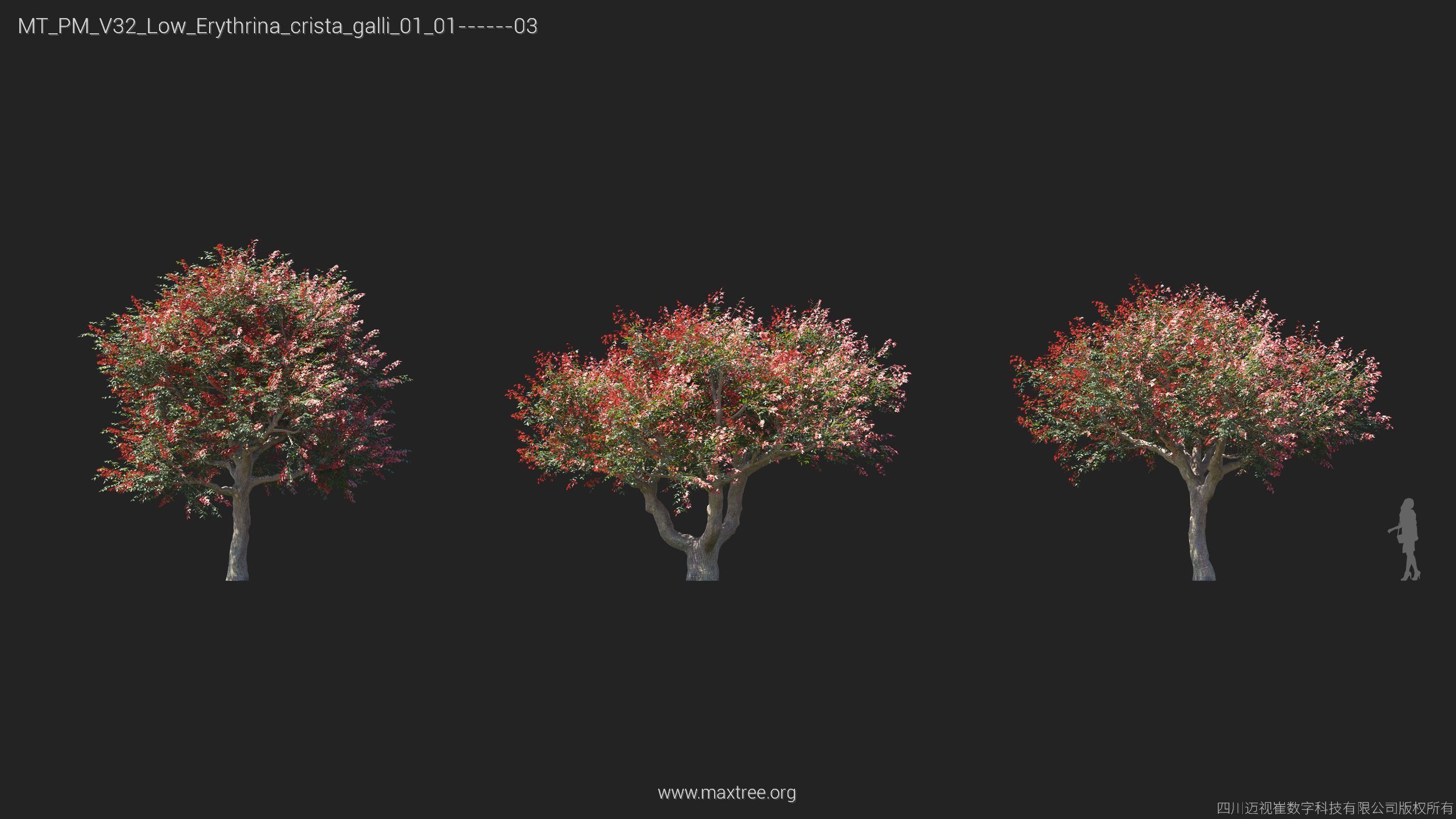 Maxtree Plant Models Vol 32 Low Poly - Mesh 3D model_11