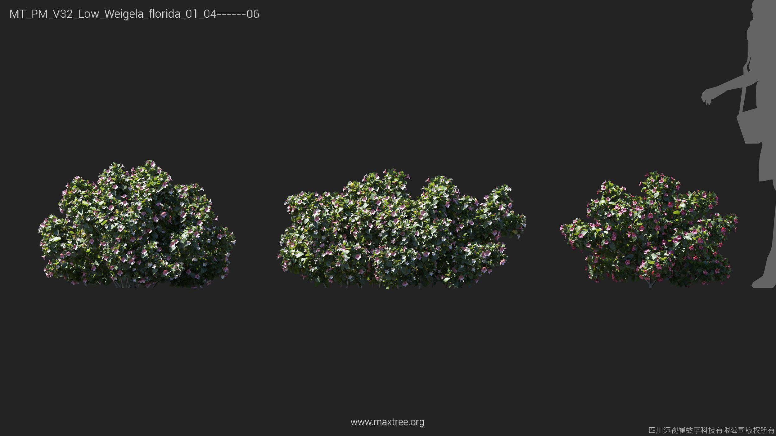 Maxtree Plant Models Vol 32 Low Poly - Mesh 3D model_26