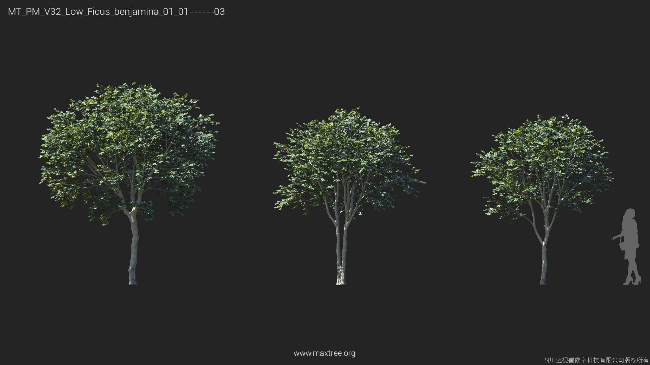 Maxtree Plant Models Vol 32 Low Poly - Mesh 3D model_13