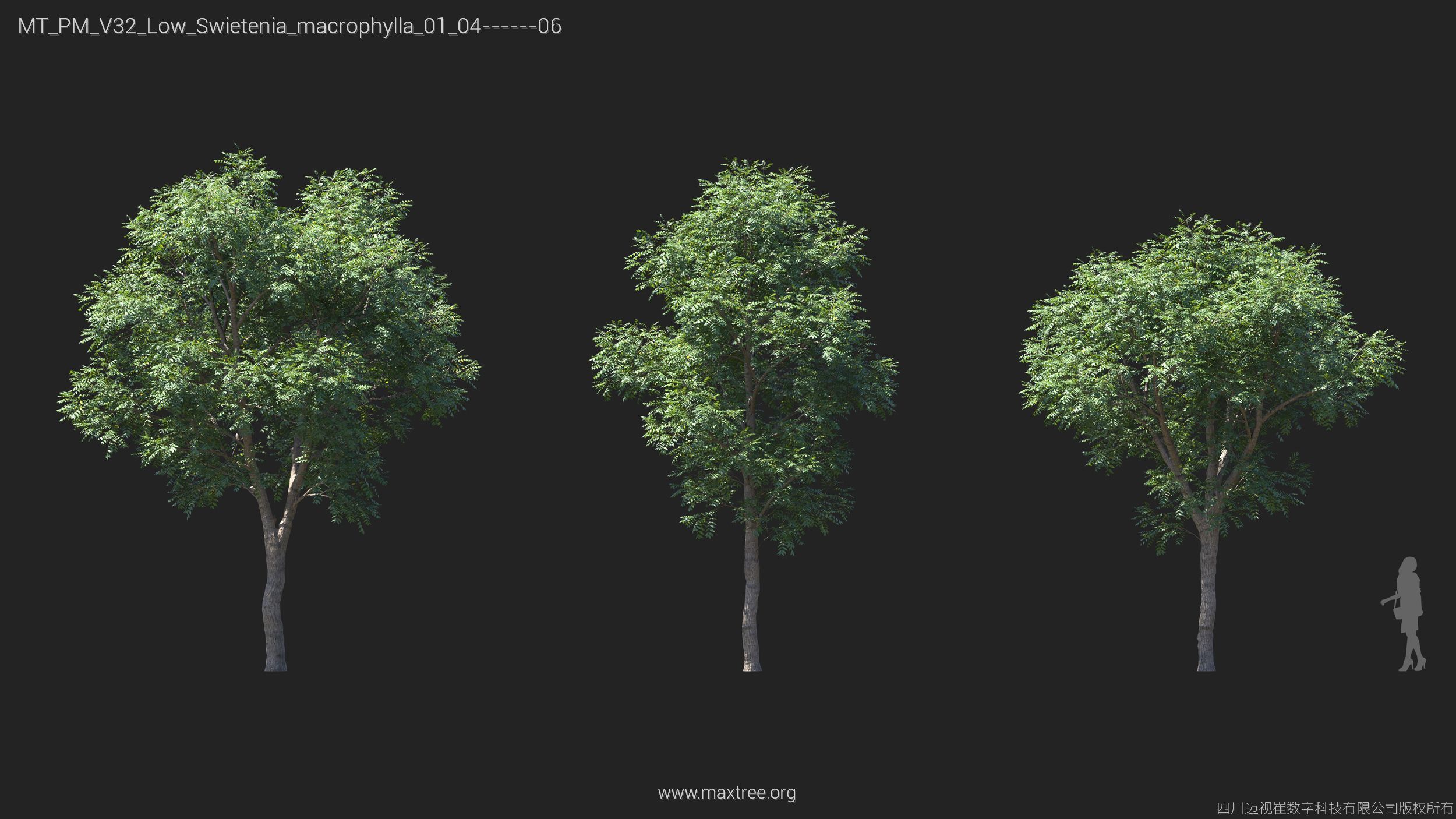 Maxtree Plant Models Vol 32 Low Poly - Mesh 3D model_22