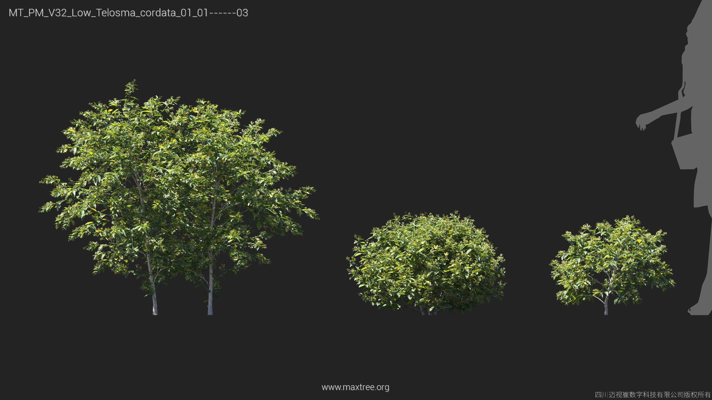 Maxtree Plant Models Vol 32 Low Poly - Mesh 3D model_23