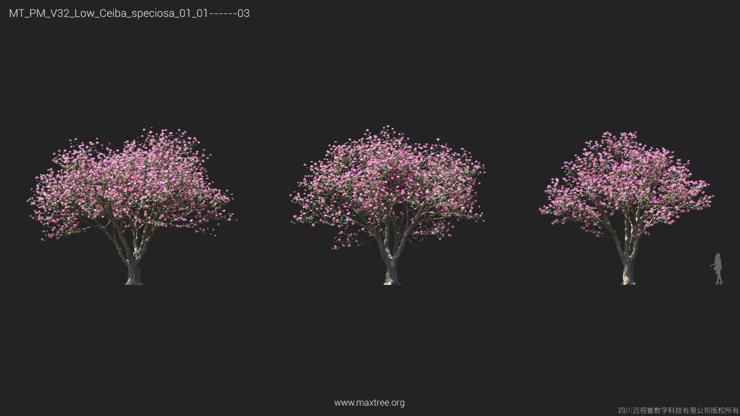 Maxtree Plant Models Vol 32 Low Poly - Mesh 3D model_9