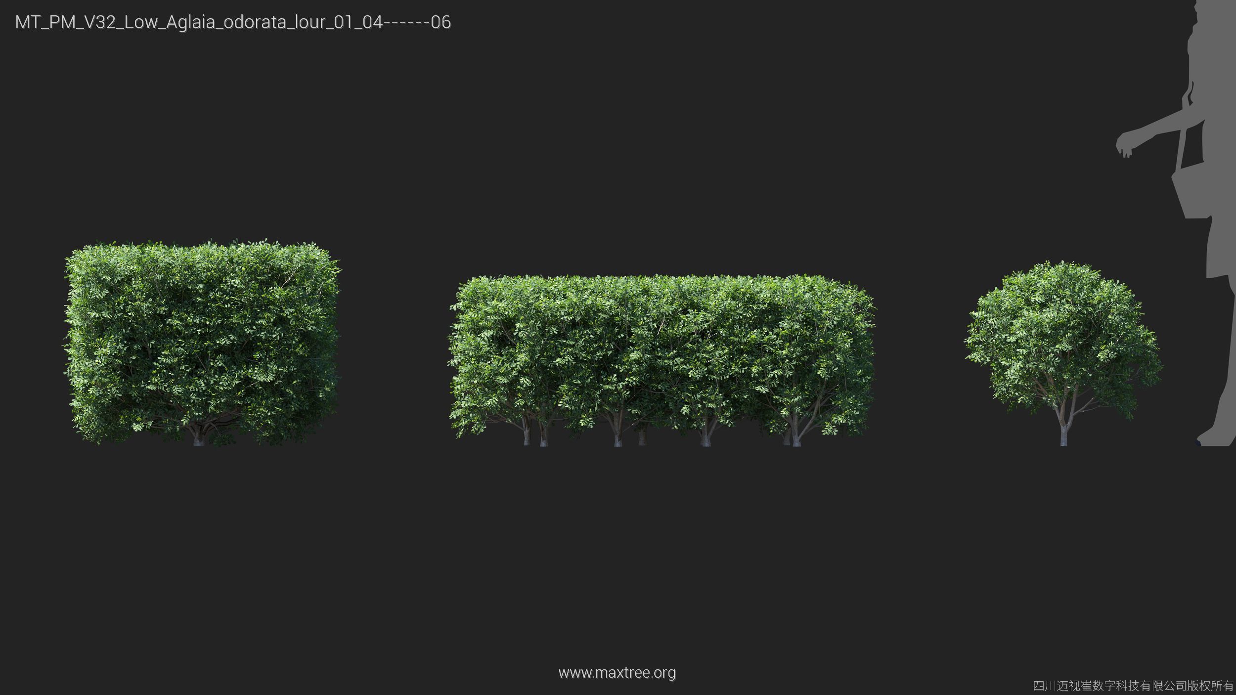 Maxtree Plant Models Vol 32 Low Poly - Mesh 3D model_4