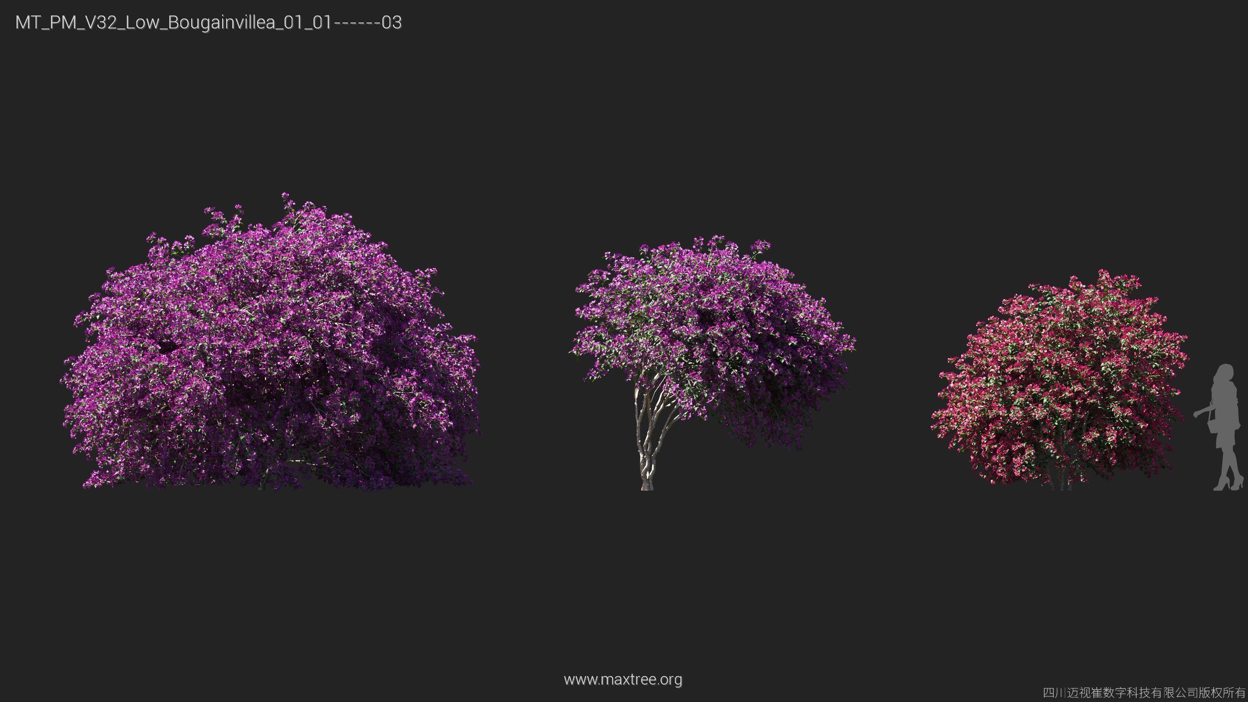 Maxtree Plant Models Vol 32 Low Poly - Mesh 3D model_5