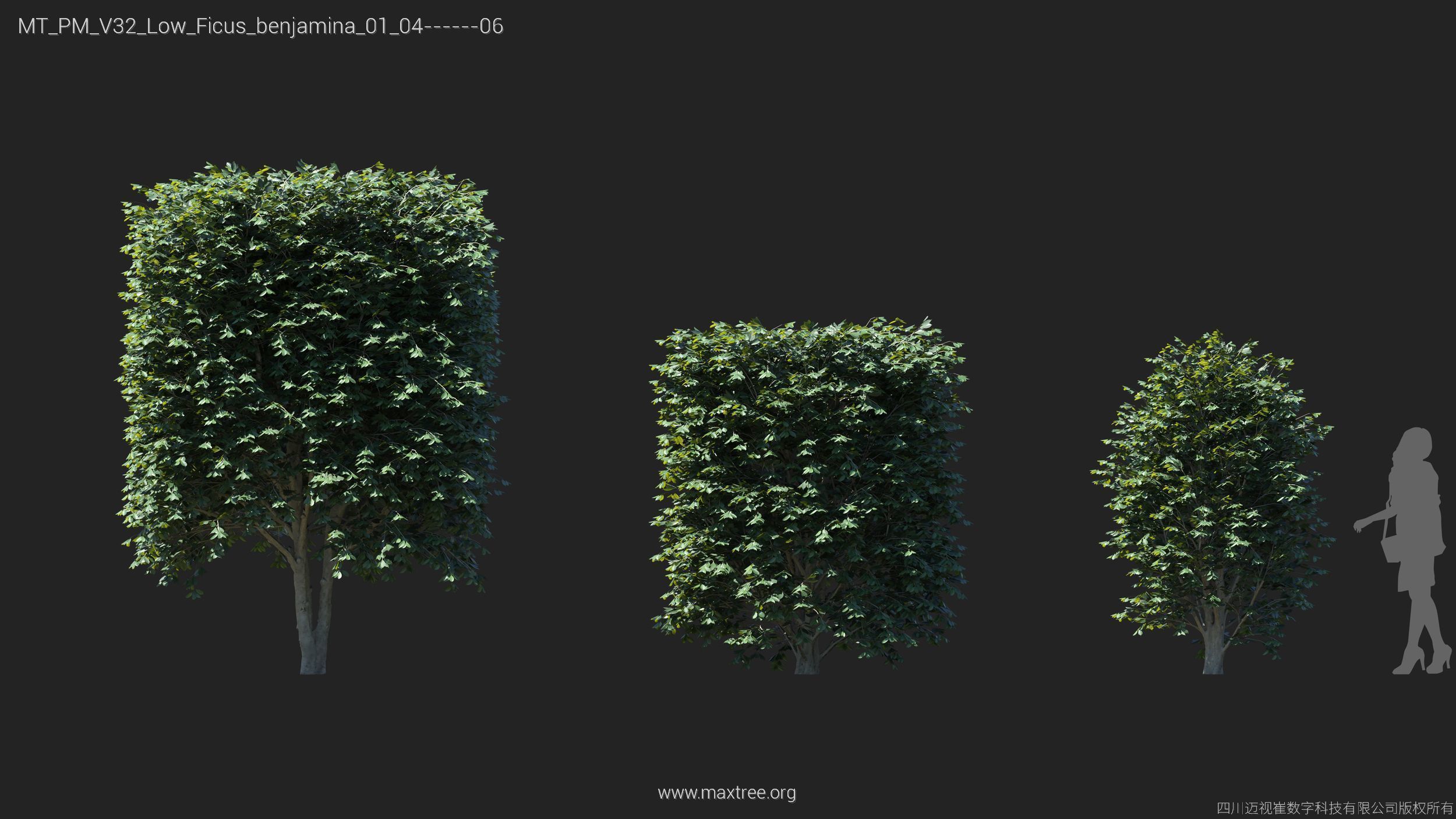Maxtree Plant Models Vol 32 Low Poly - Mesh 3D model_14