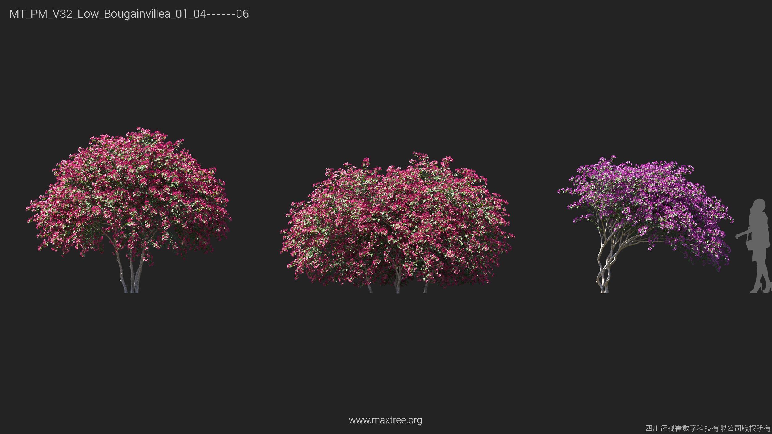 Maxtree Plant Models Vol 32 Low Poly - Mesh 3D model_6