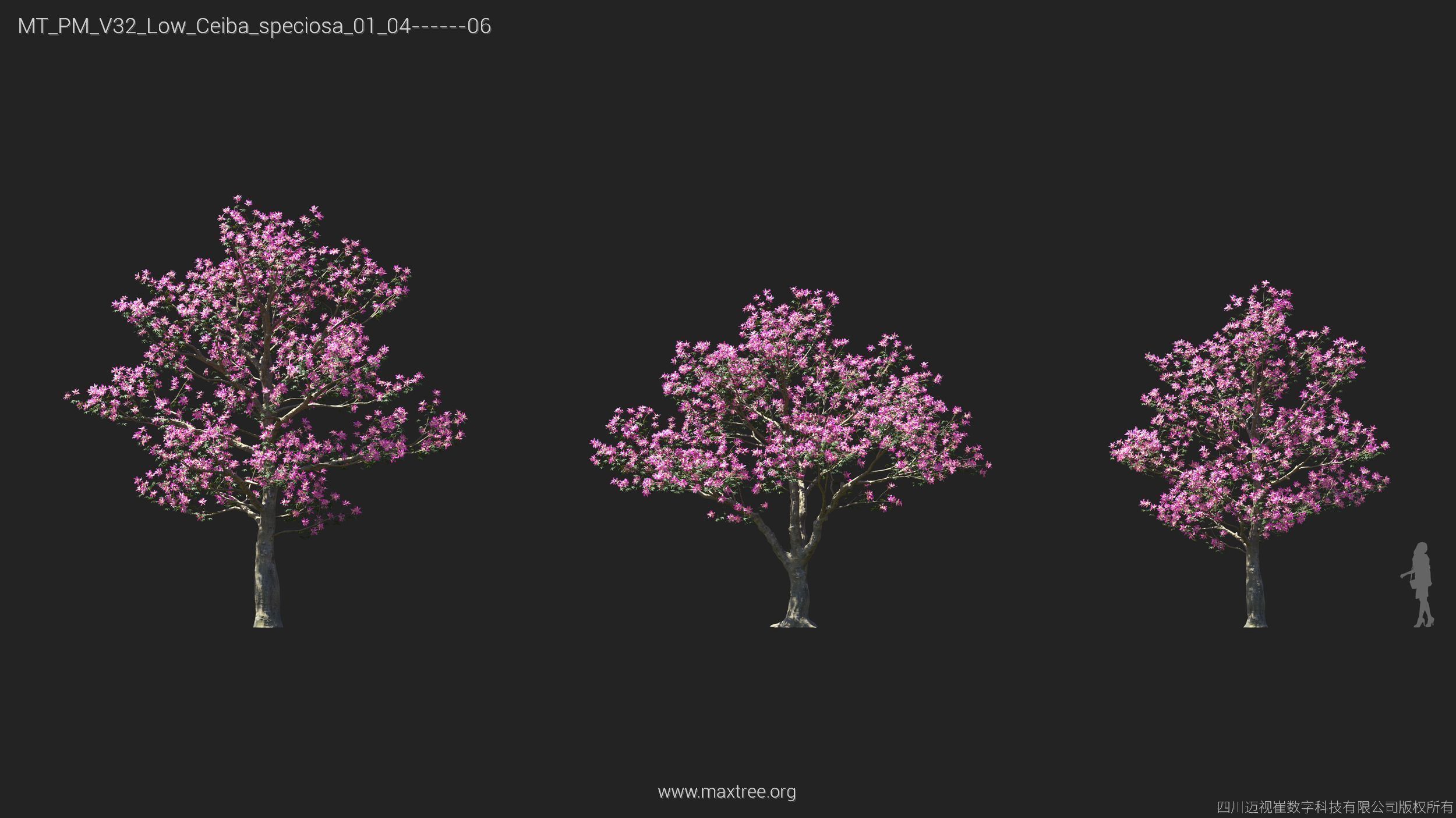 Maxtree Plant Models Vol 32 Low Poly - Mesh 3D model_10