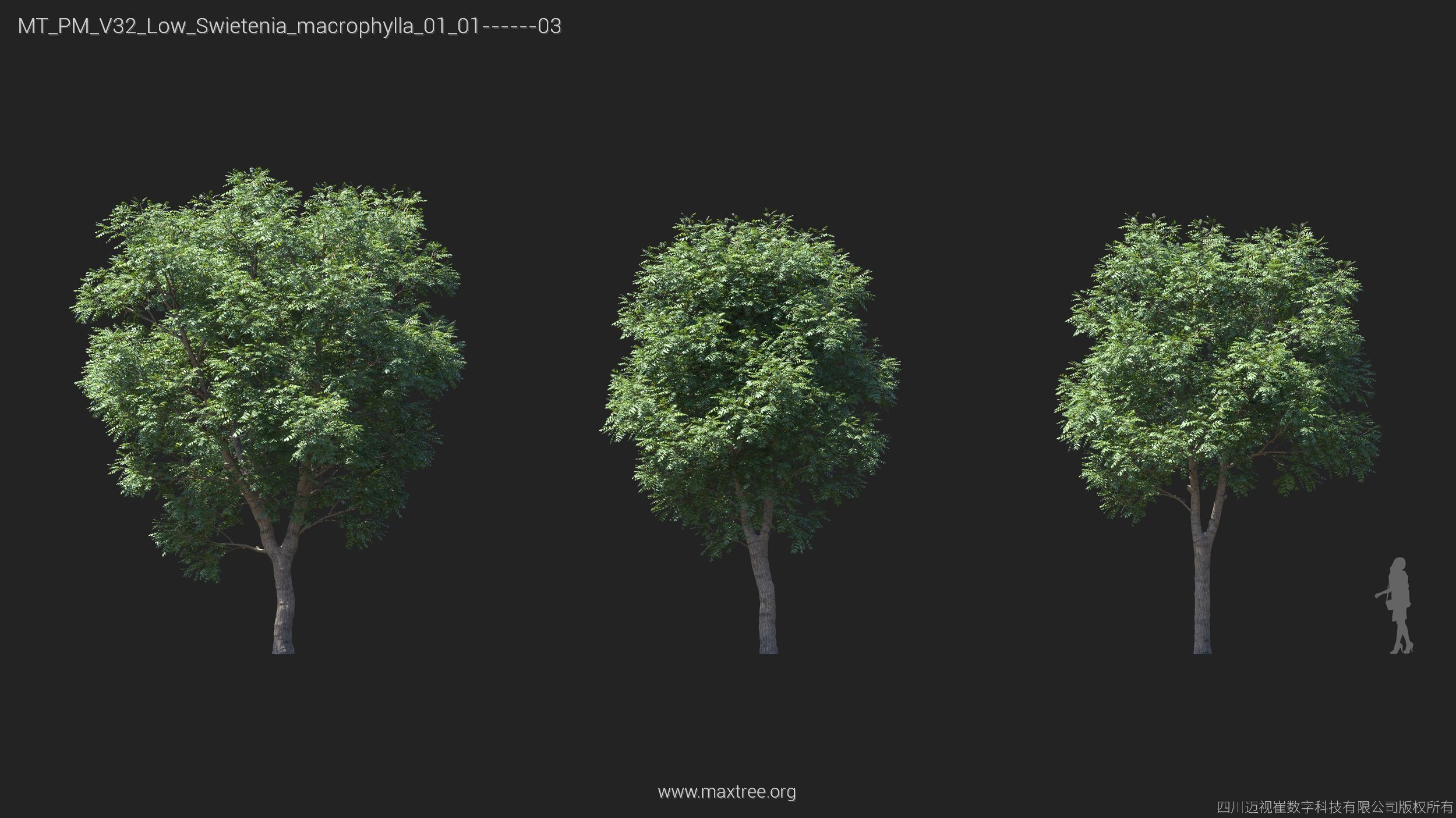 Maxtree Plant Models Vol 32 Low Poly - Mesh 3D model_21