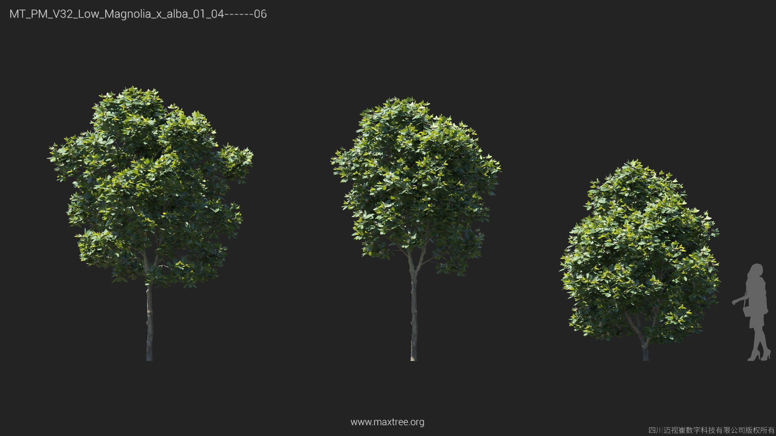 Maxtree Plant Models Vol 32 Low Poly - Mesh 3D model_18