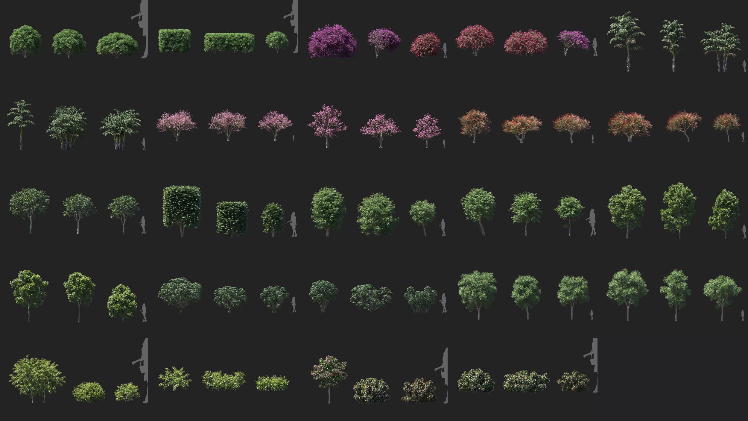 Maxtree Plant Models Vol 32 Low Poly - Mesh 3D model_2