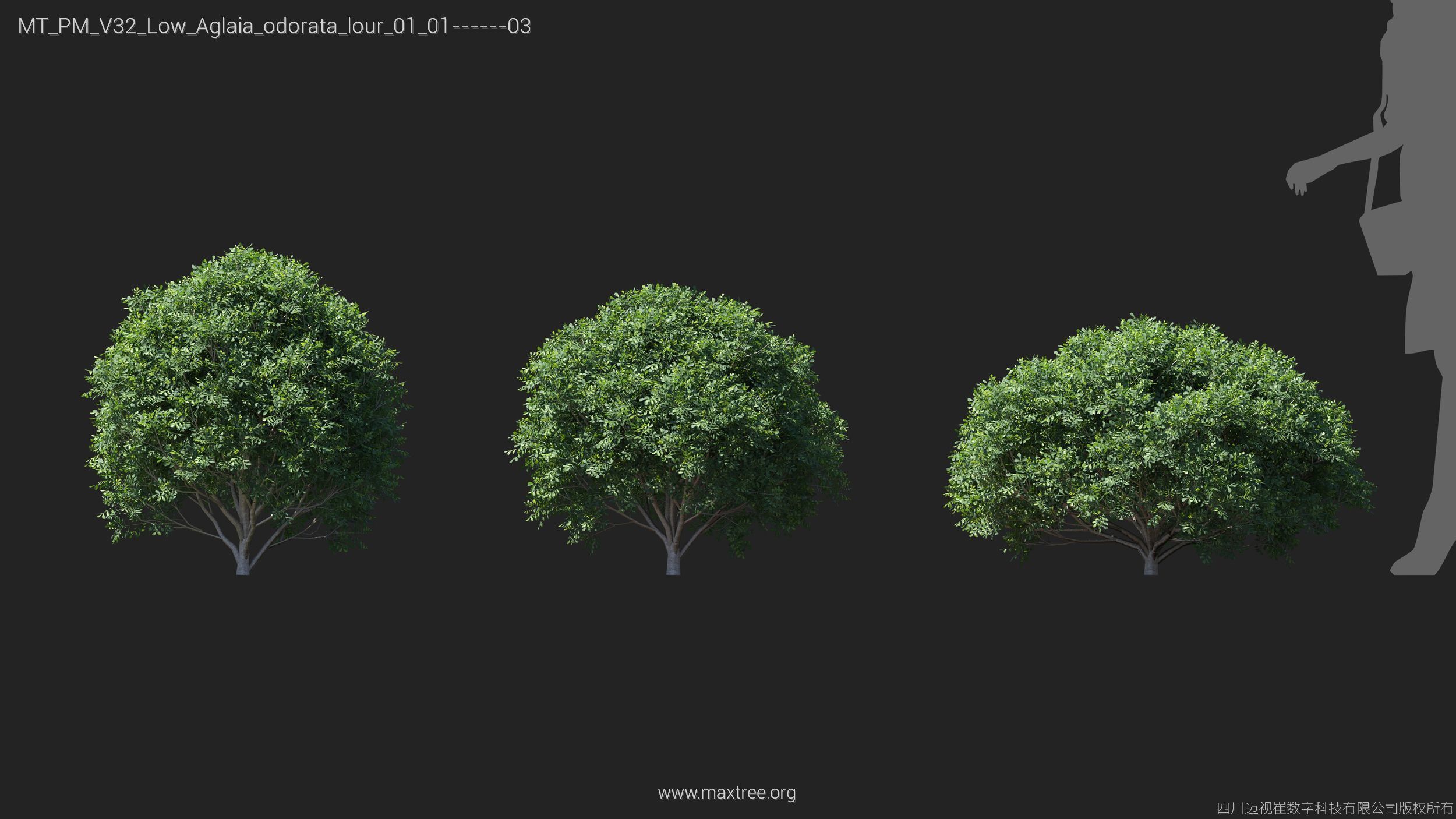 Maxtree Plant Models Vol 32 Low Poly - Mesh 3D model_3