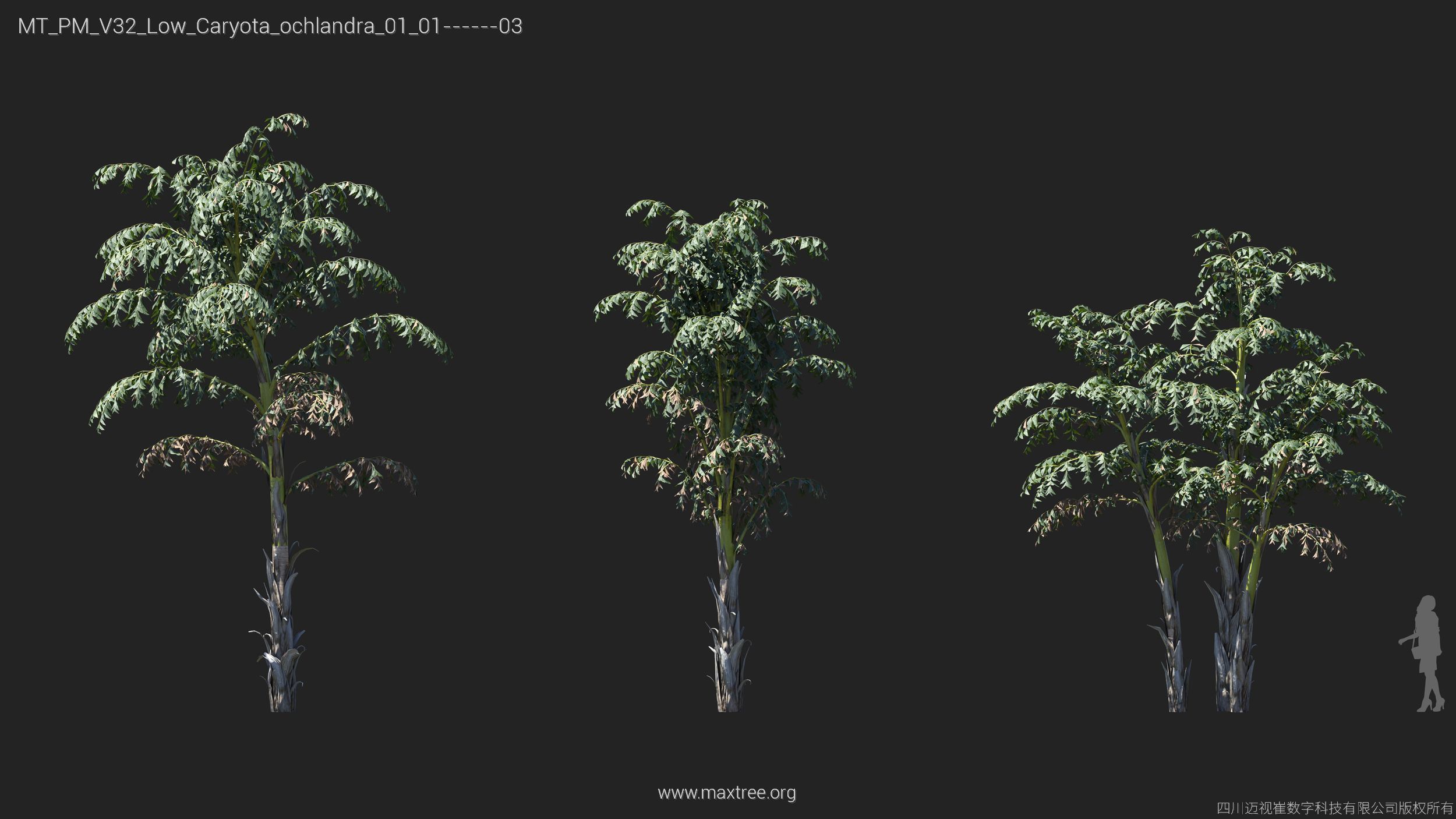 Maxtree Plant Models Vol 32 Low Poly - Mesh 3D model_7