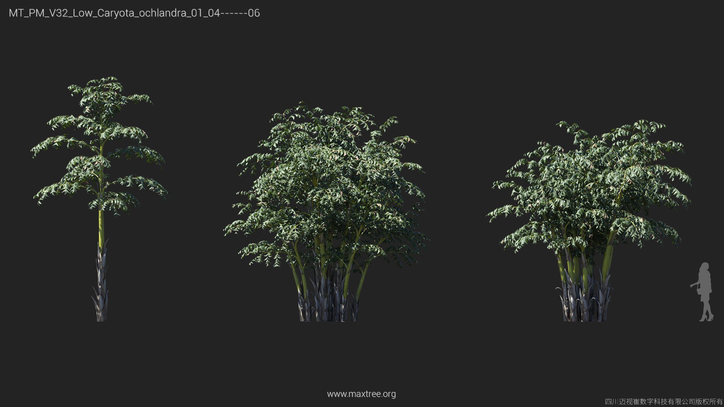 Maxtree Plant Models Vol 32 Low Poly - Mesh 3D model_8