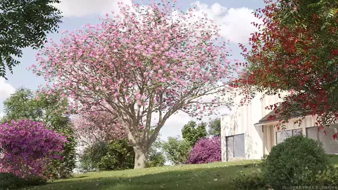 Maxtree Plant Models Vol 32 Low Poly - Mesh 3D model