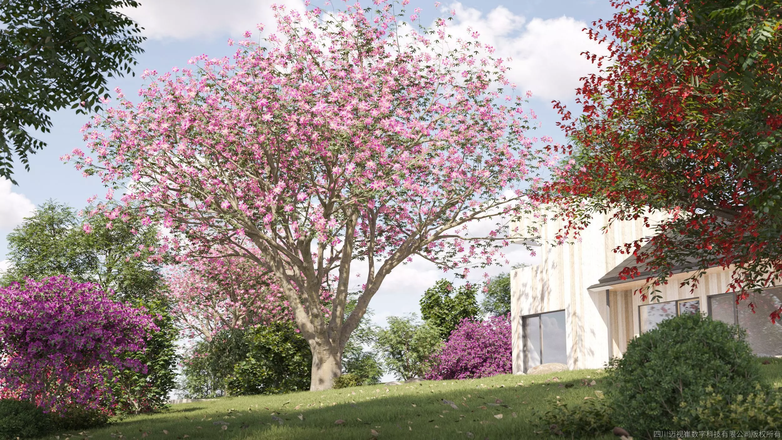 Maxtree Plant Models Vol 32 Low Poly - Mesh 3D model_0