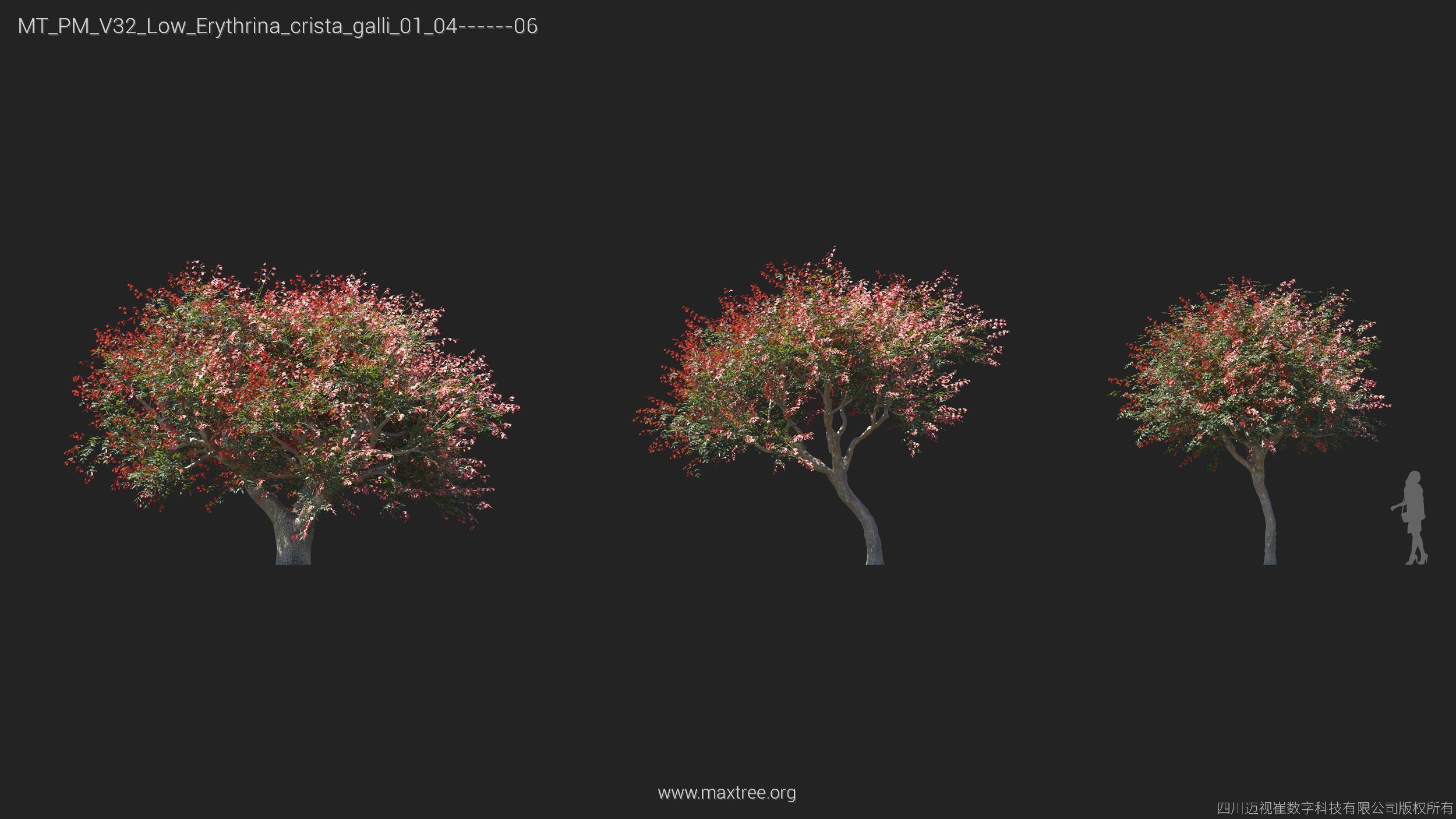 Maxtree Plant Models Vol 32 Low Poly - Mesh 3D model_12