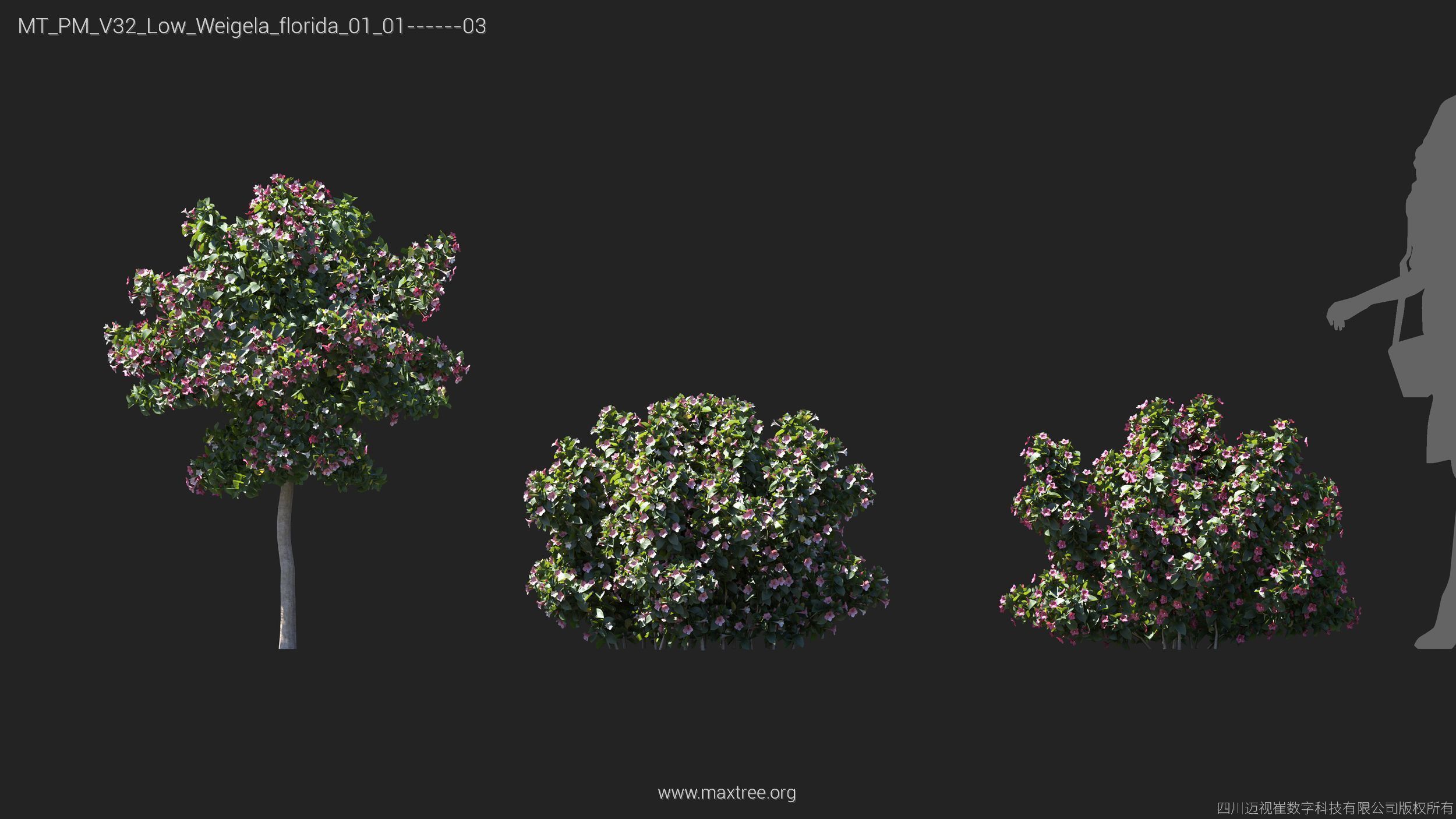 Maxtree Plant Models Vol 32 Low Poly - Mesh 3D model_25