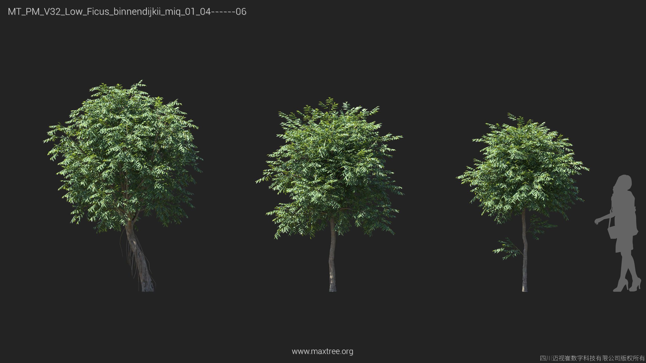 Maxtree Plant Models Vol 32 Low Poly - Mesh 3D model_16