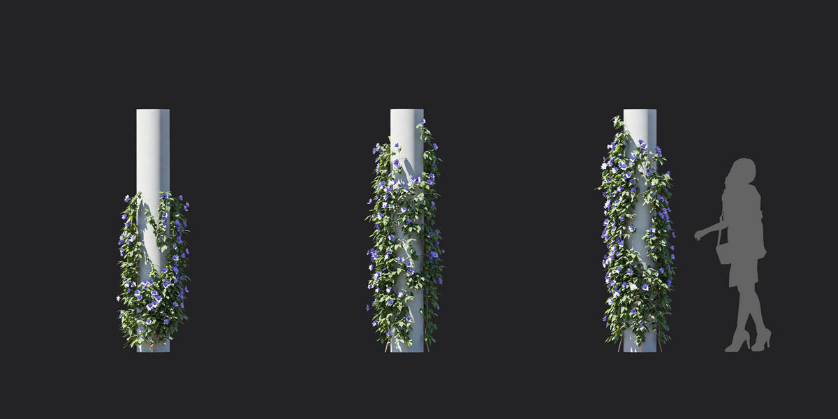 Maxtree Plant Models Vol 37 Low Poly - Mesh 3D model_18