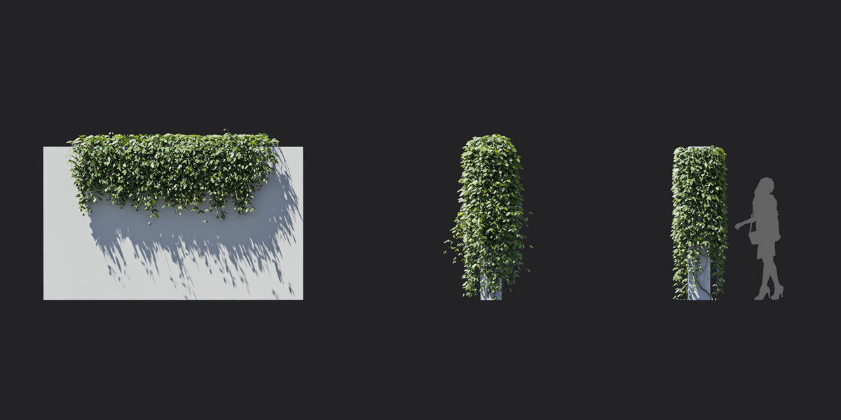 Maxtree Plant Models Vol 37 Low Poly - Mesh 3D model_11